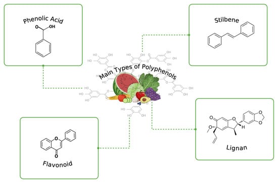 Polyphenols Secondary Metabolites with a Biological Impression 