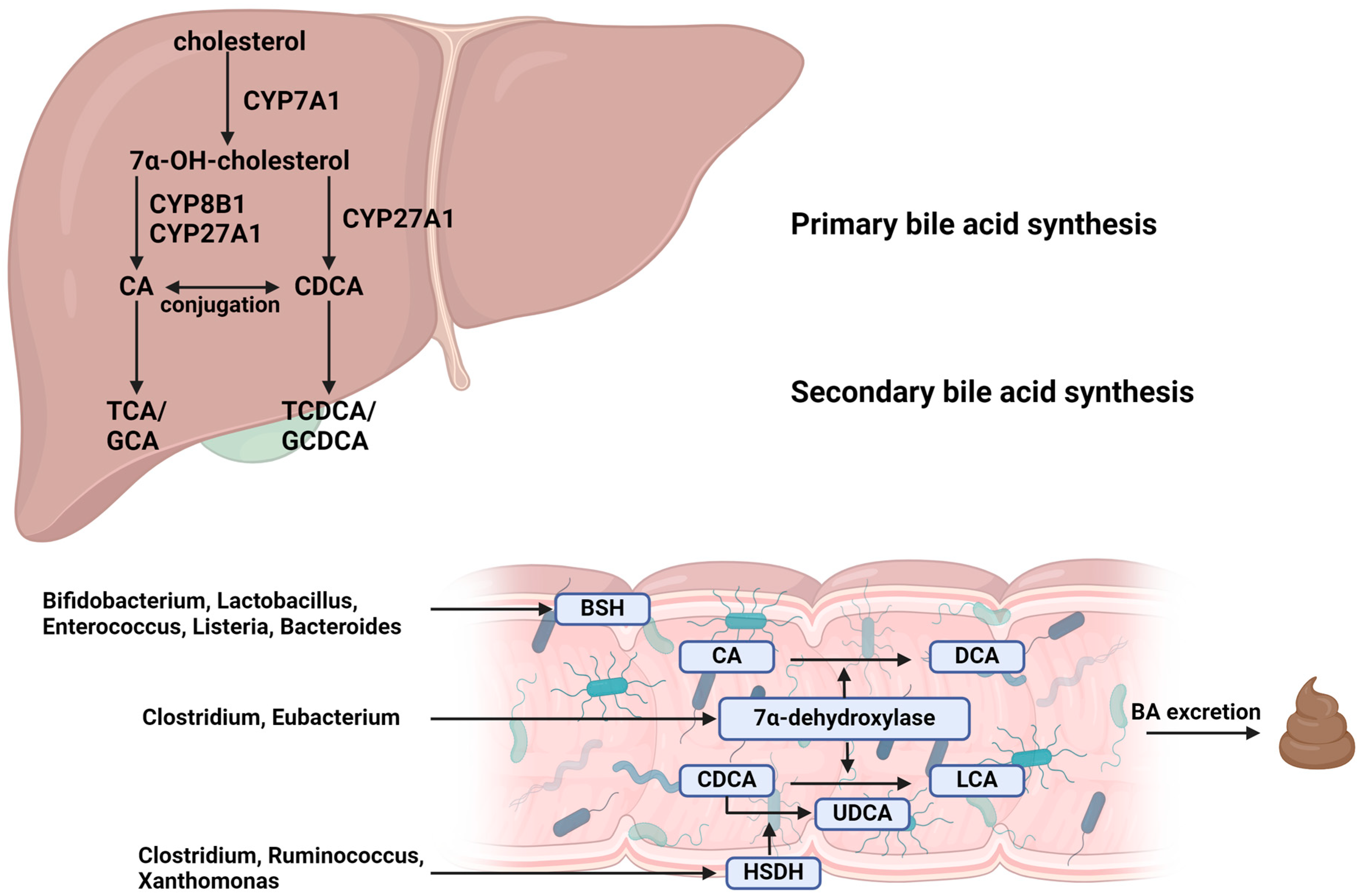 Nutrients 16 02551 g001