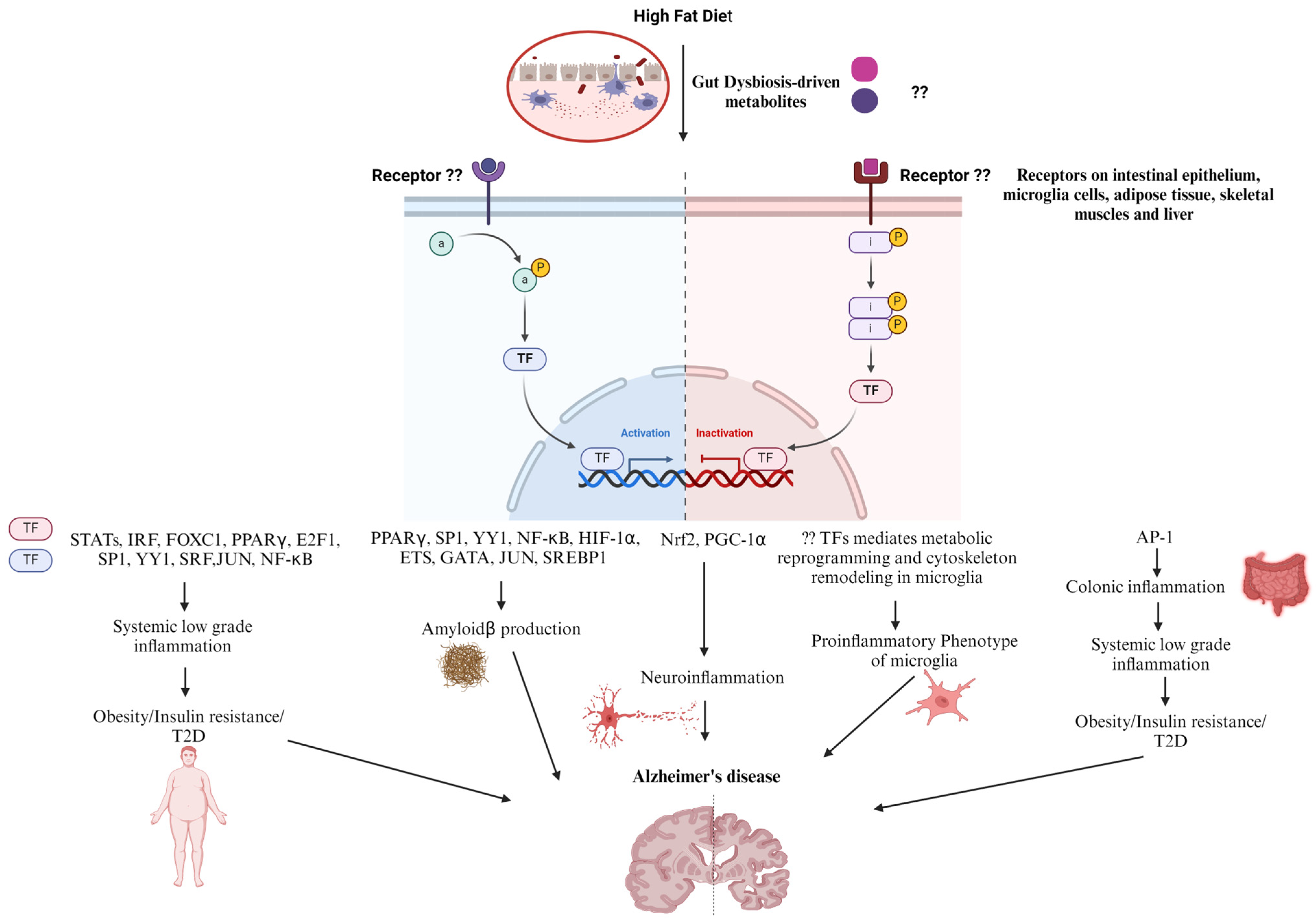 Nutrients 16 02558 g002