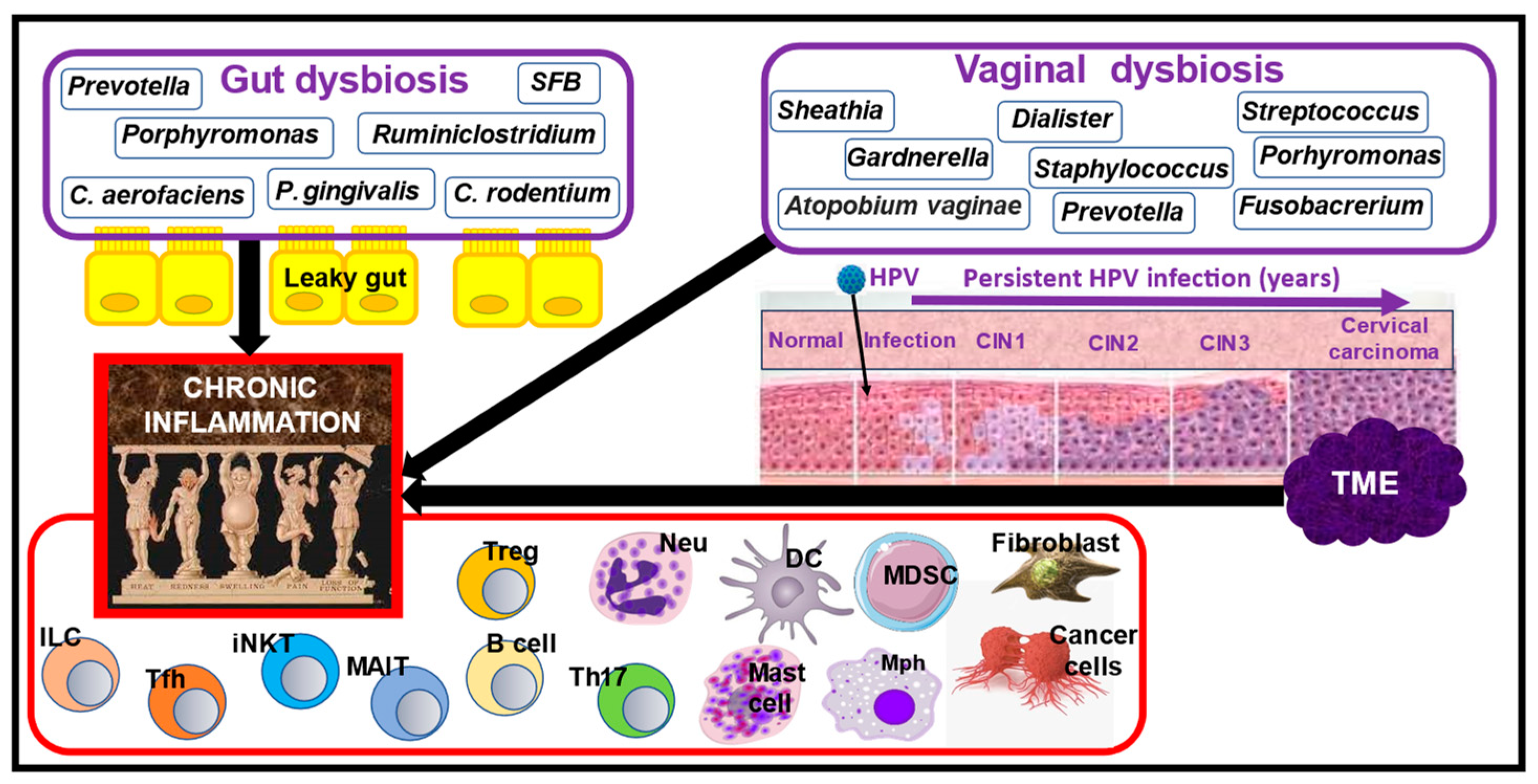 Nutrients 16 02569 g001