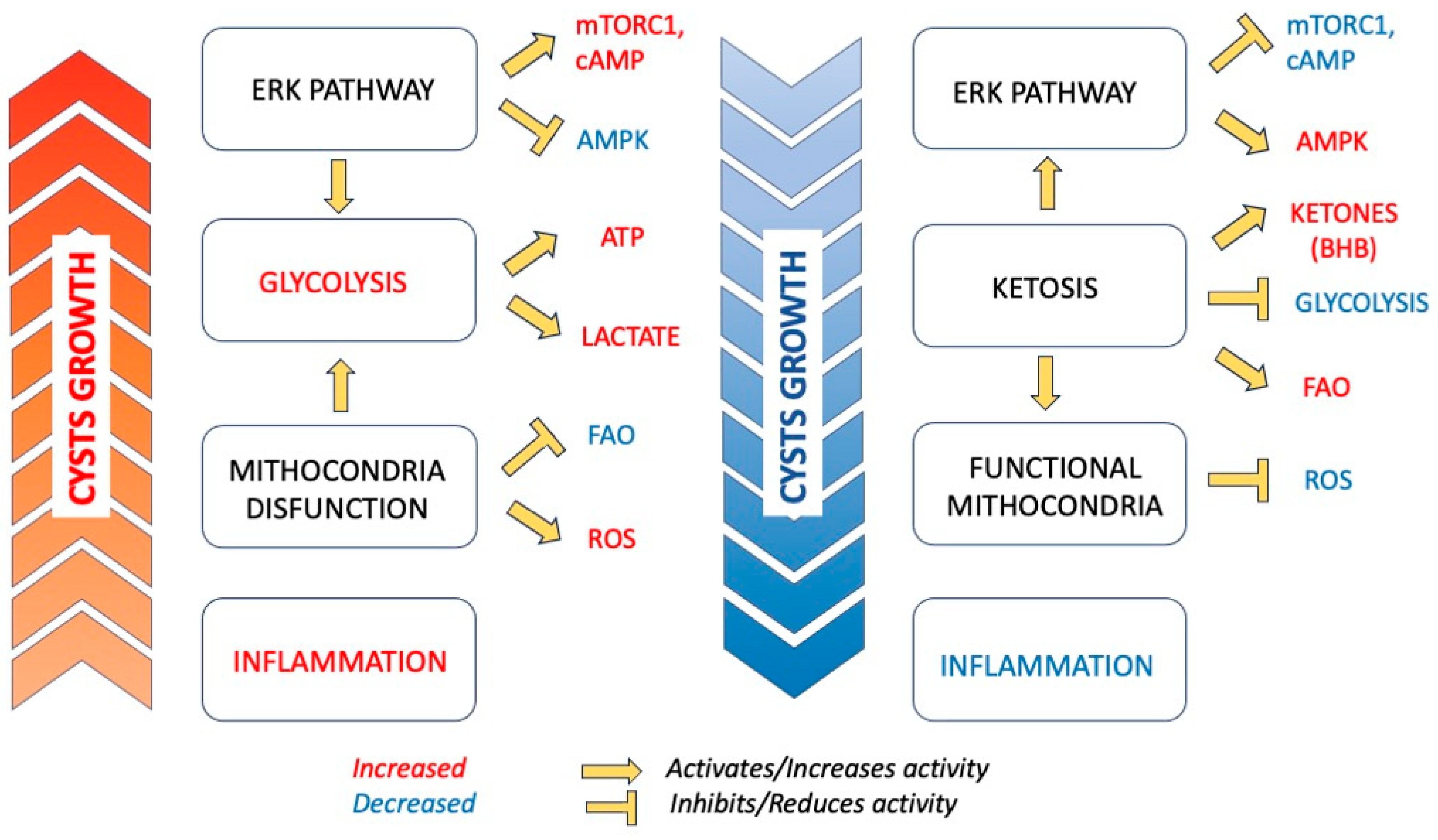 Nutrients 16 02582 g001