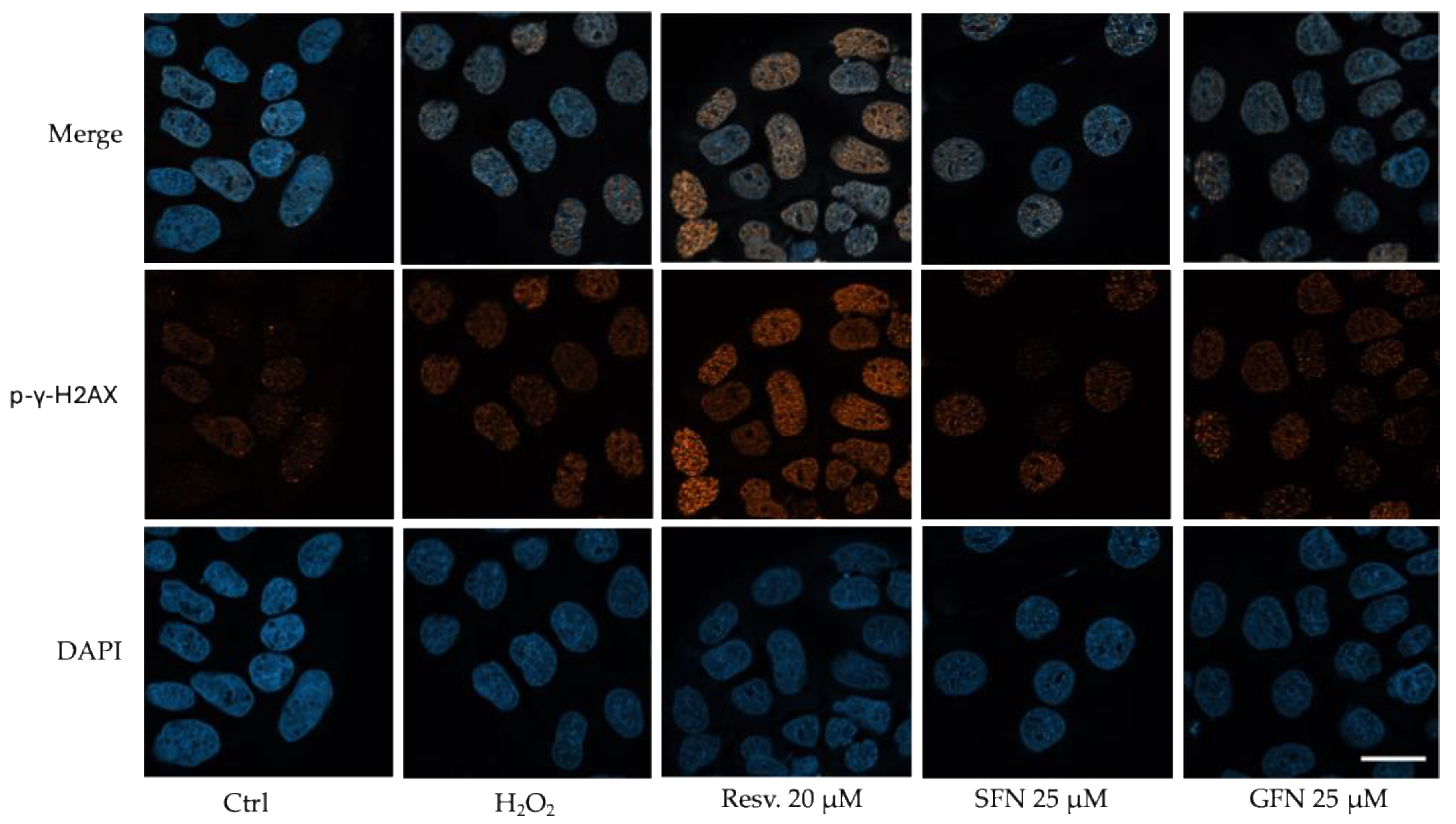 Nutrients 16 02743 g002