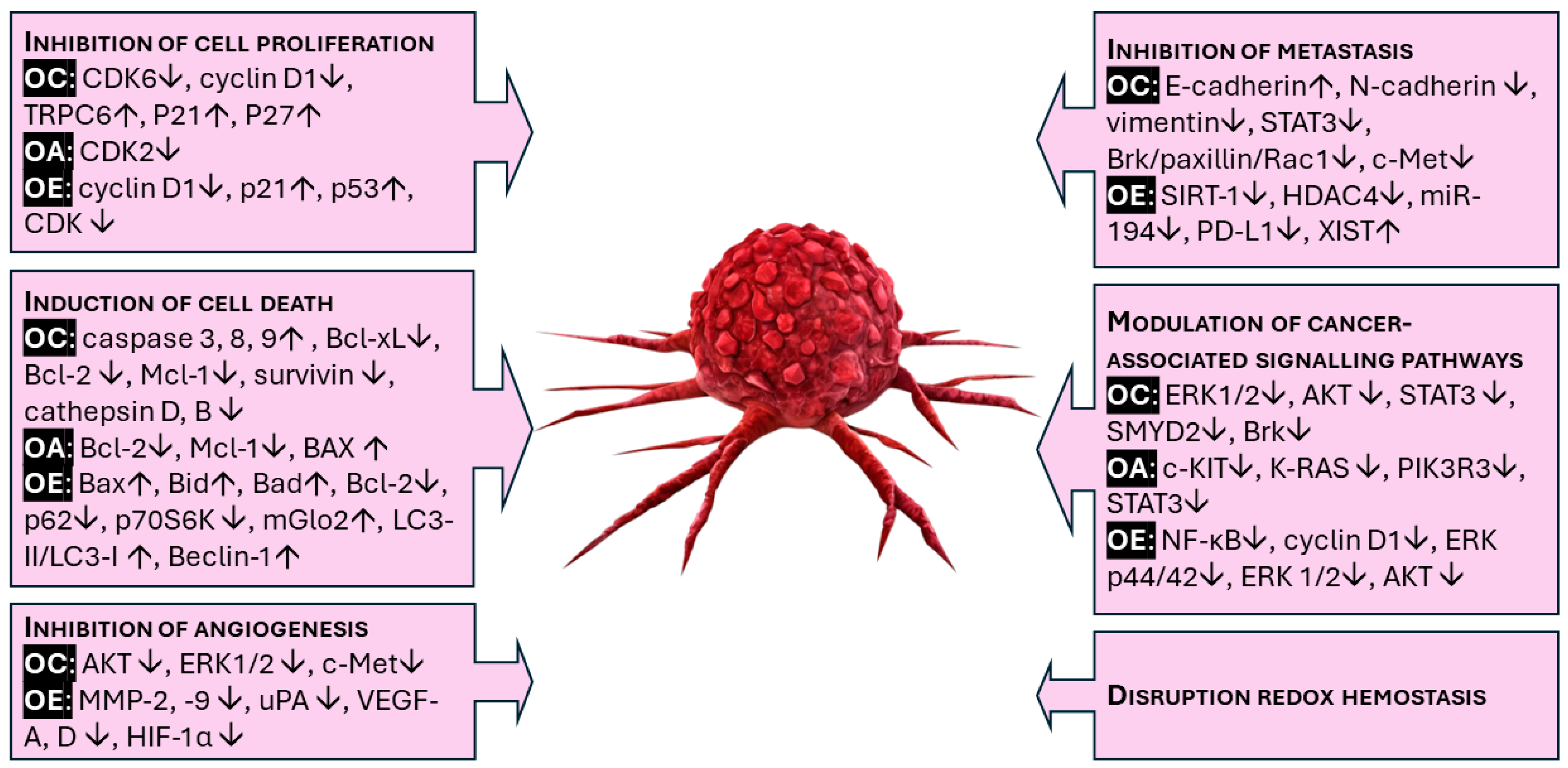 Nutrients 16 02755 g003 Nutrients 16 02755 g003