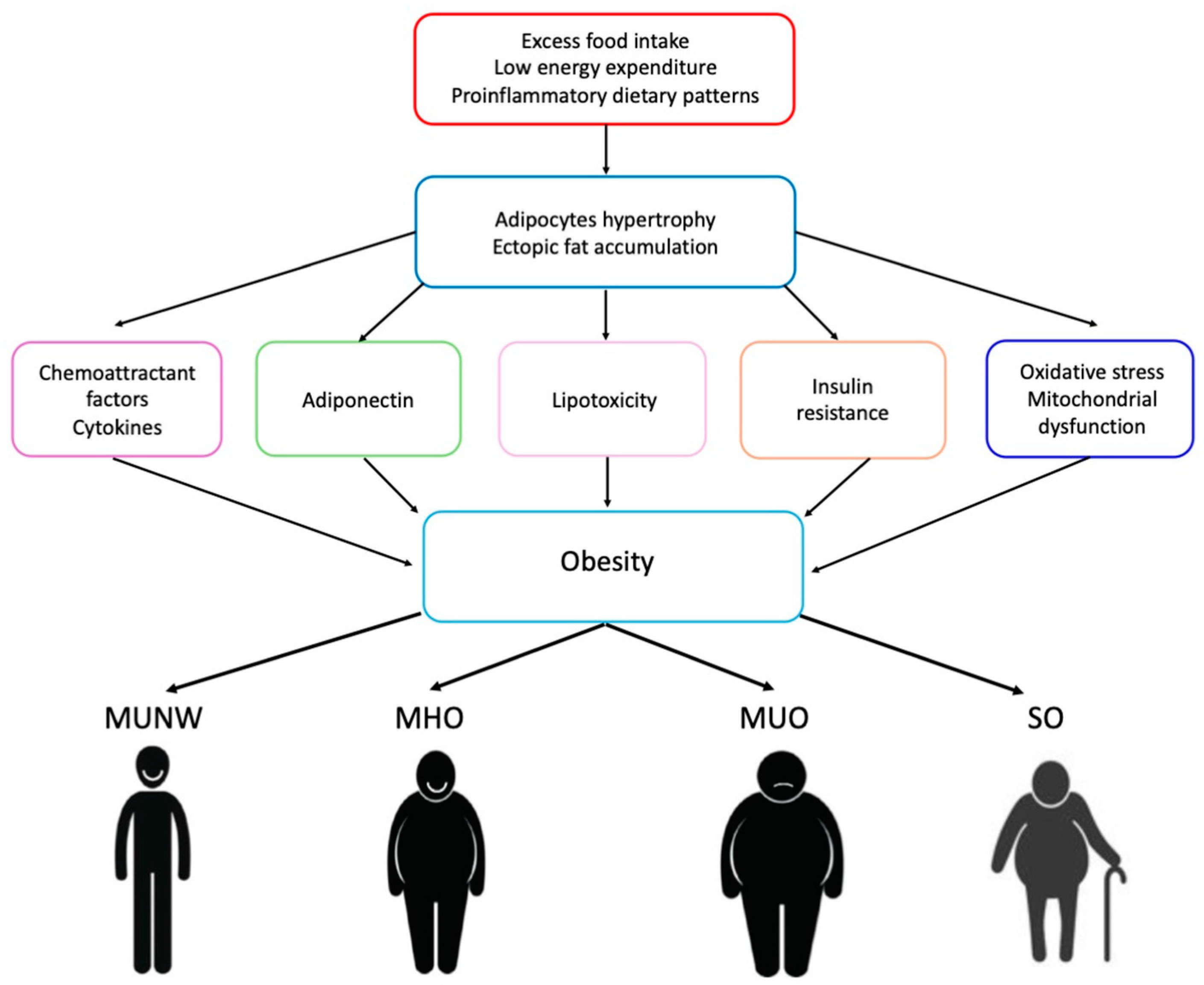 Nutrients 16 02781 g001