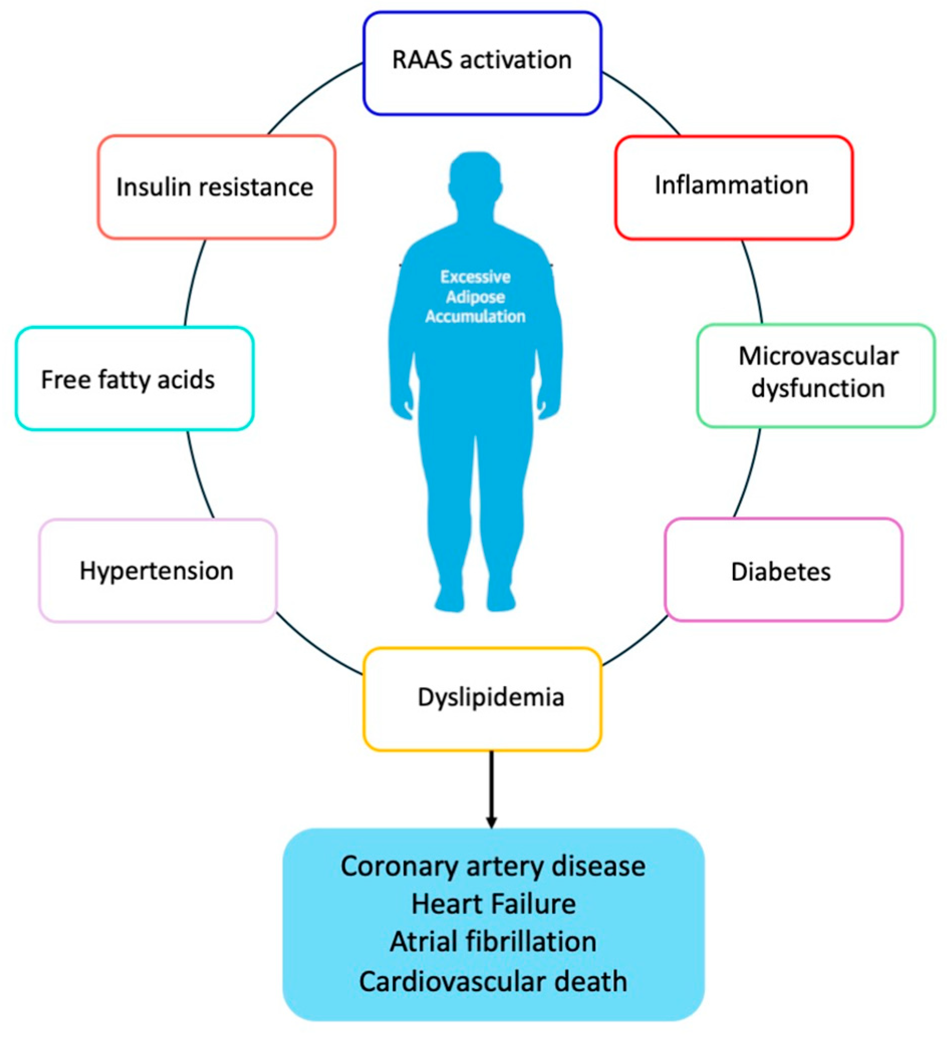Nutrients 16 02781 g002