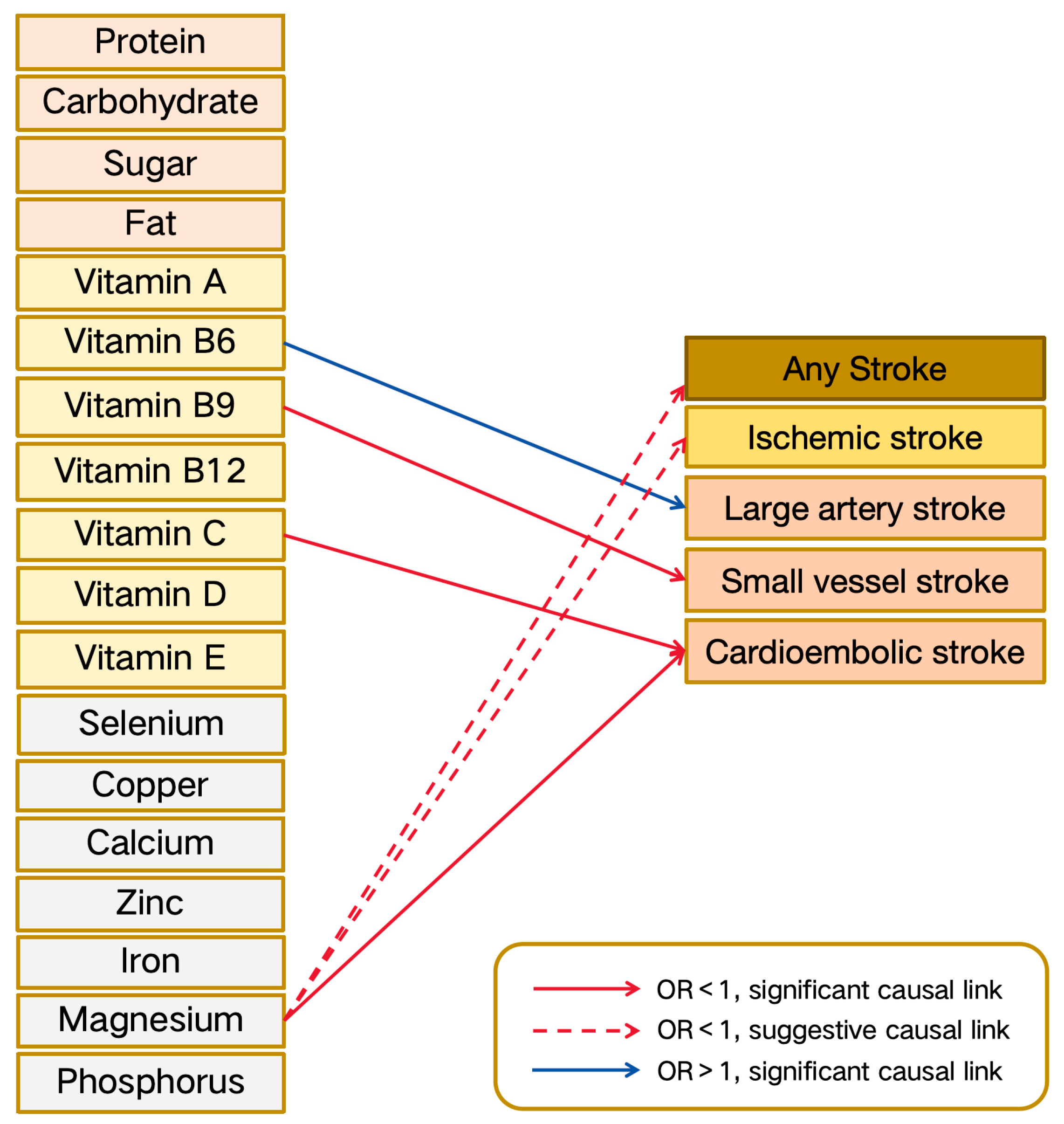 Nutrients 16 02818 g002 Nutrients 16 02818 g002