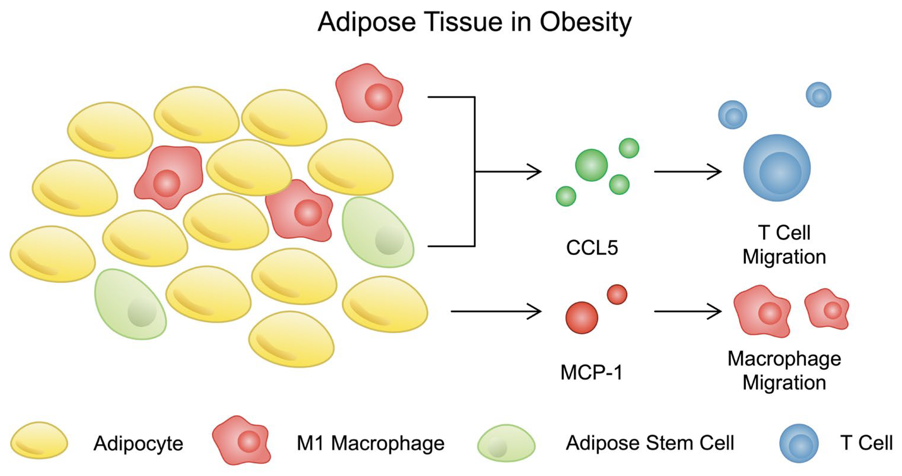 Nutrients 16 02822 g003 Nutrients 16 02822 g003