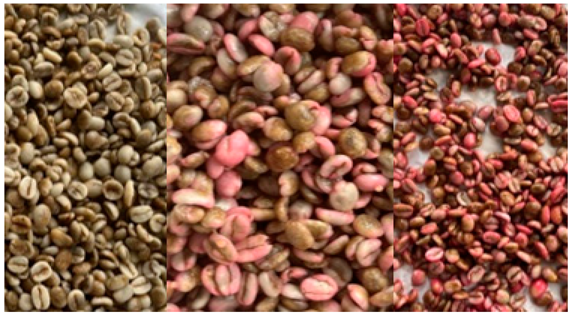 Nutrients 16 02823 g001