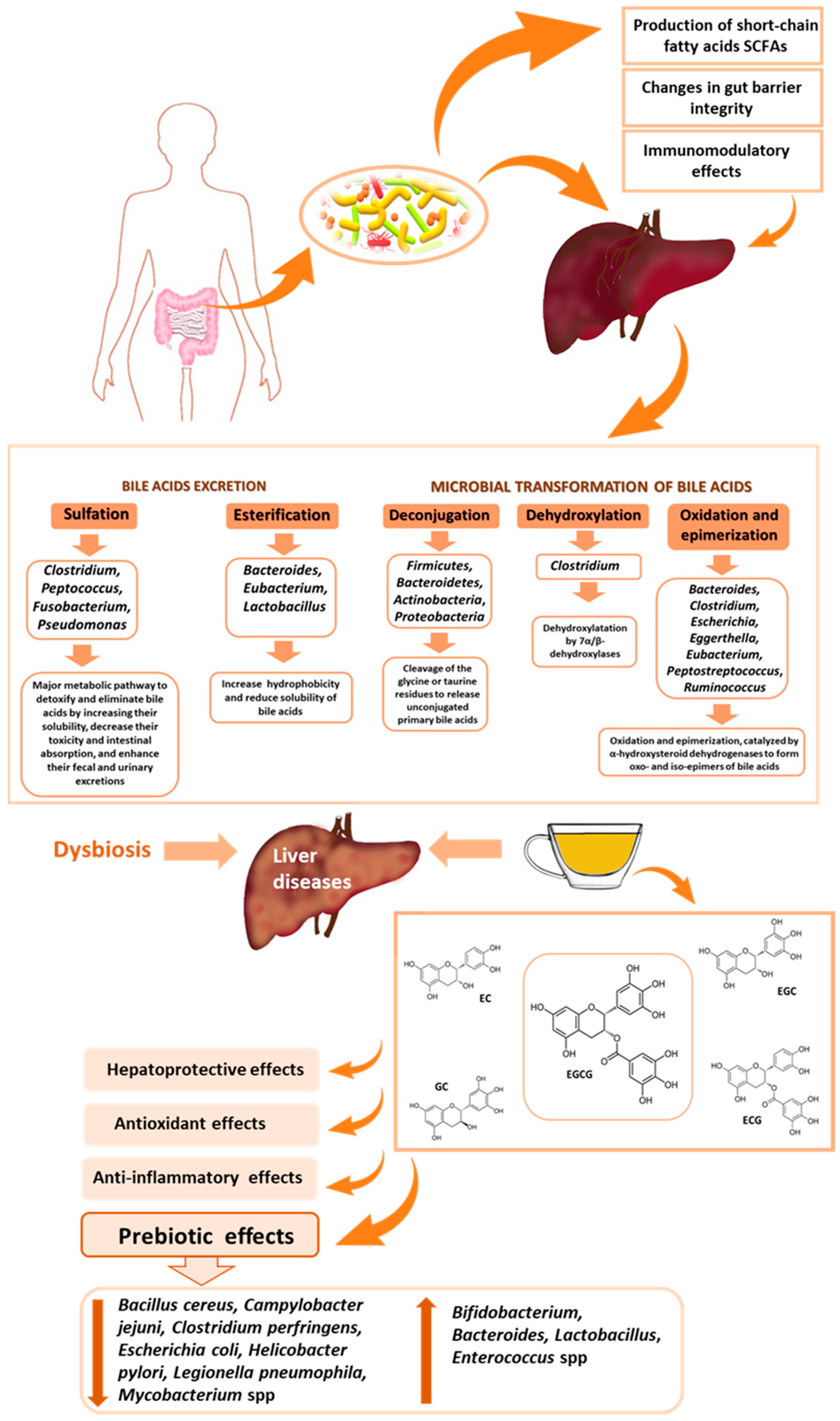 Nutrients 16 02837 g003