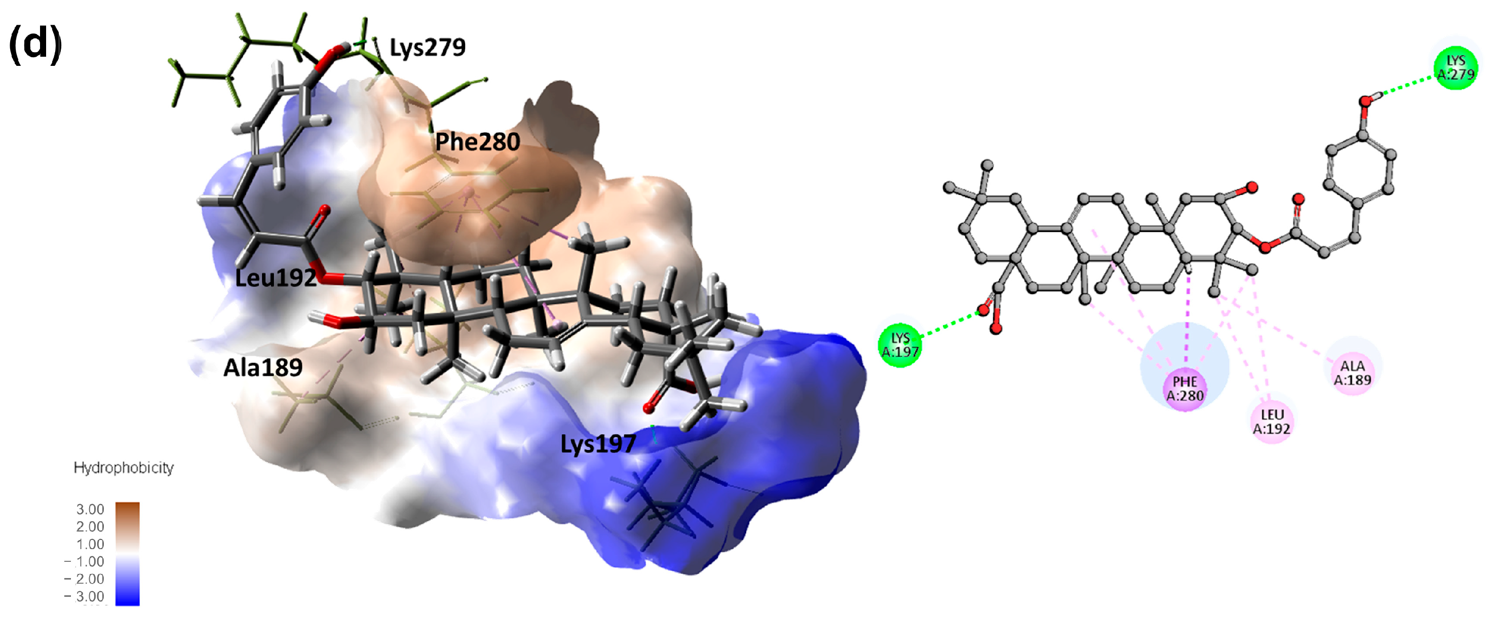 Nutrients 16 02839 g004b