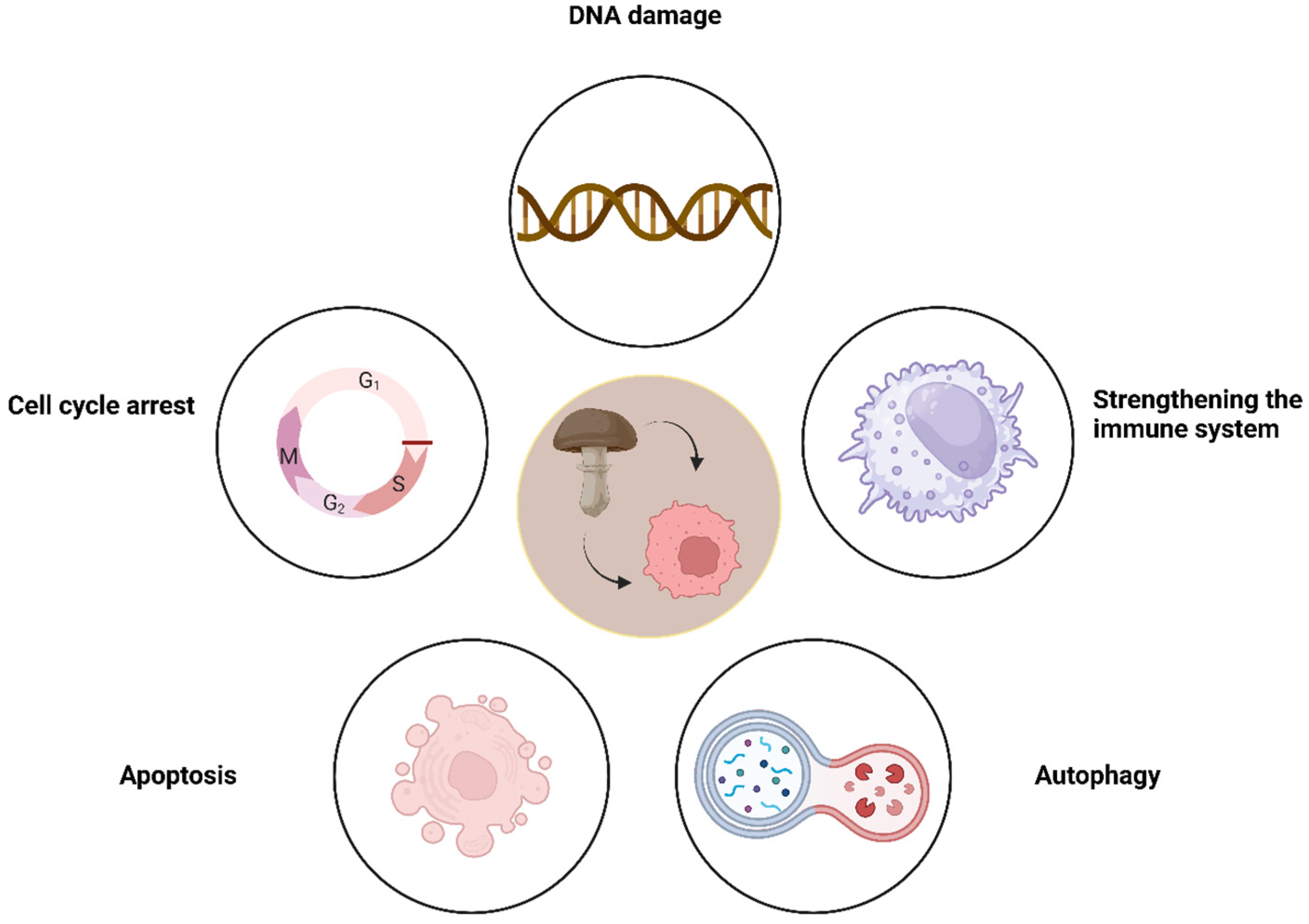 Nutrients 16 02849 g001