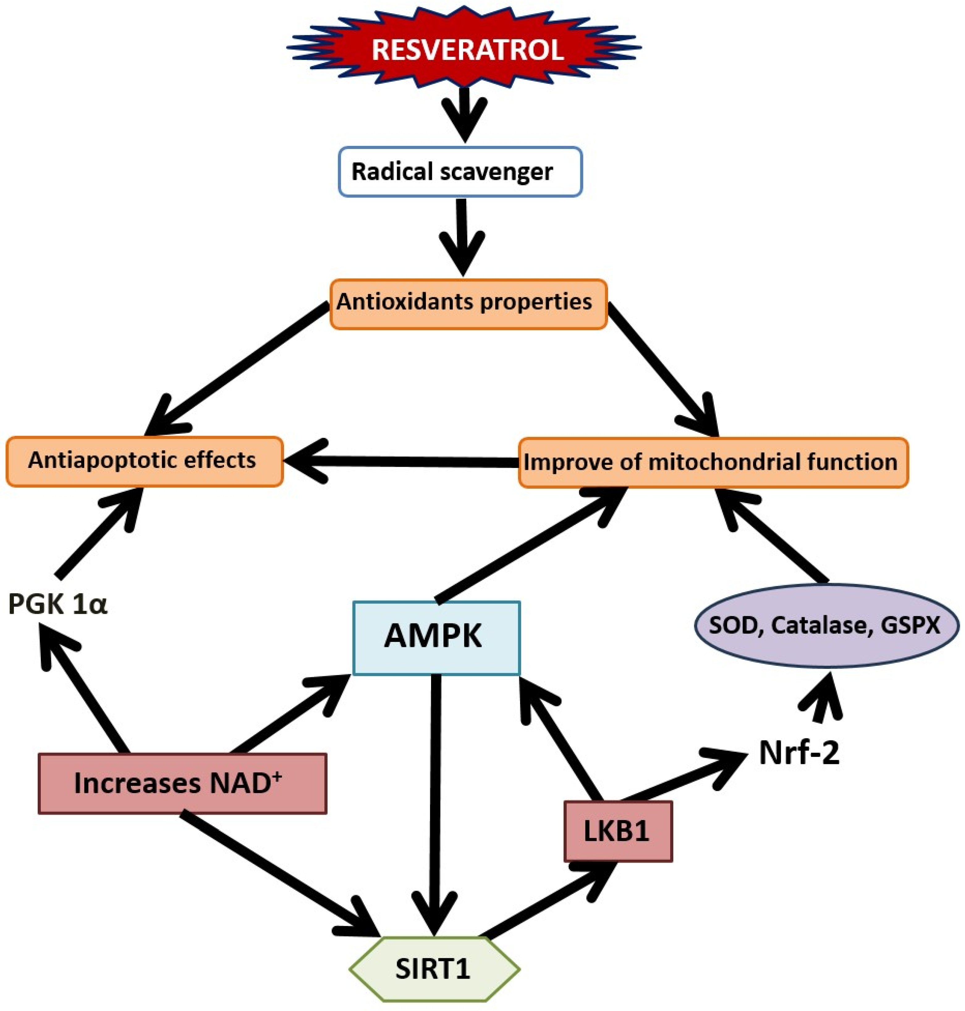 Nutrients 16 02856 g002