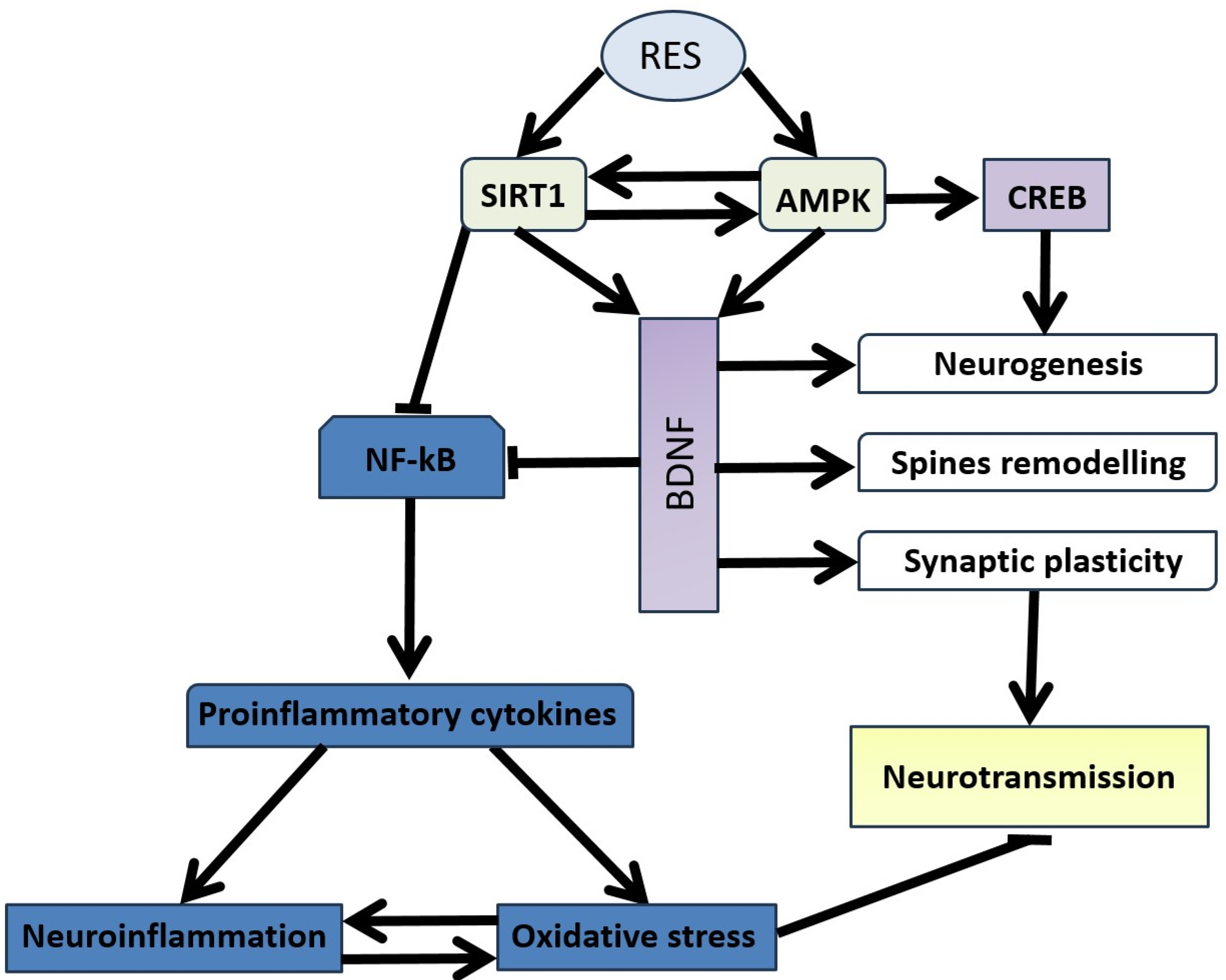 Nutrients 16 02856 g004