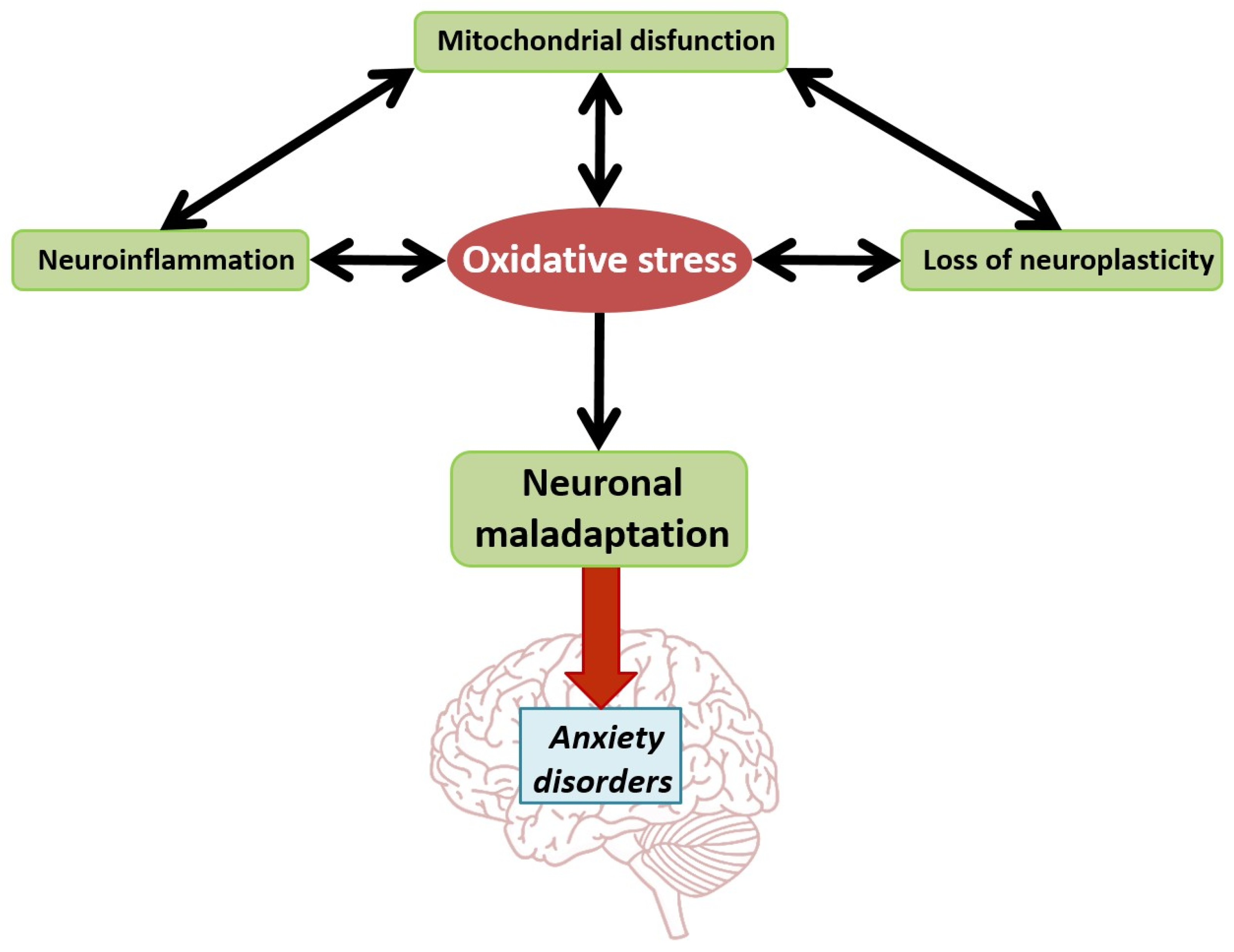 Nutrients 16 02856 g006