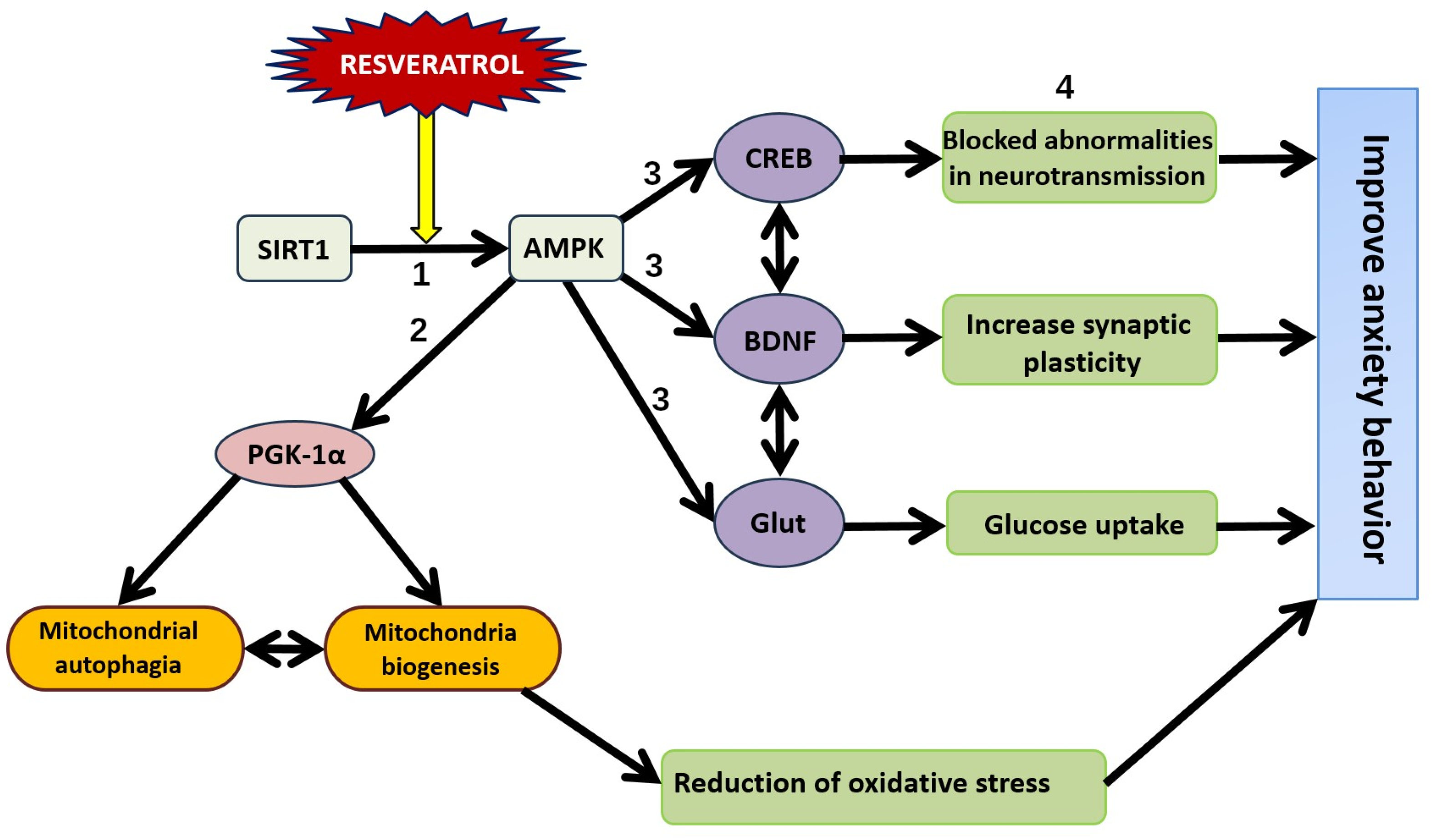 Nutrients 16 02856 g007
