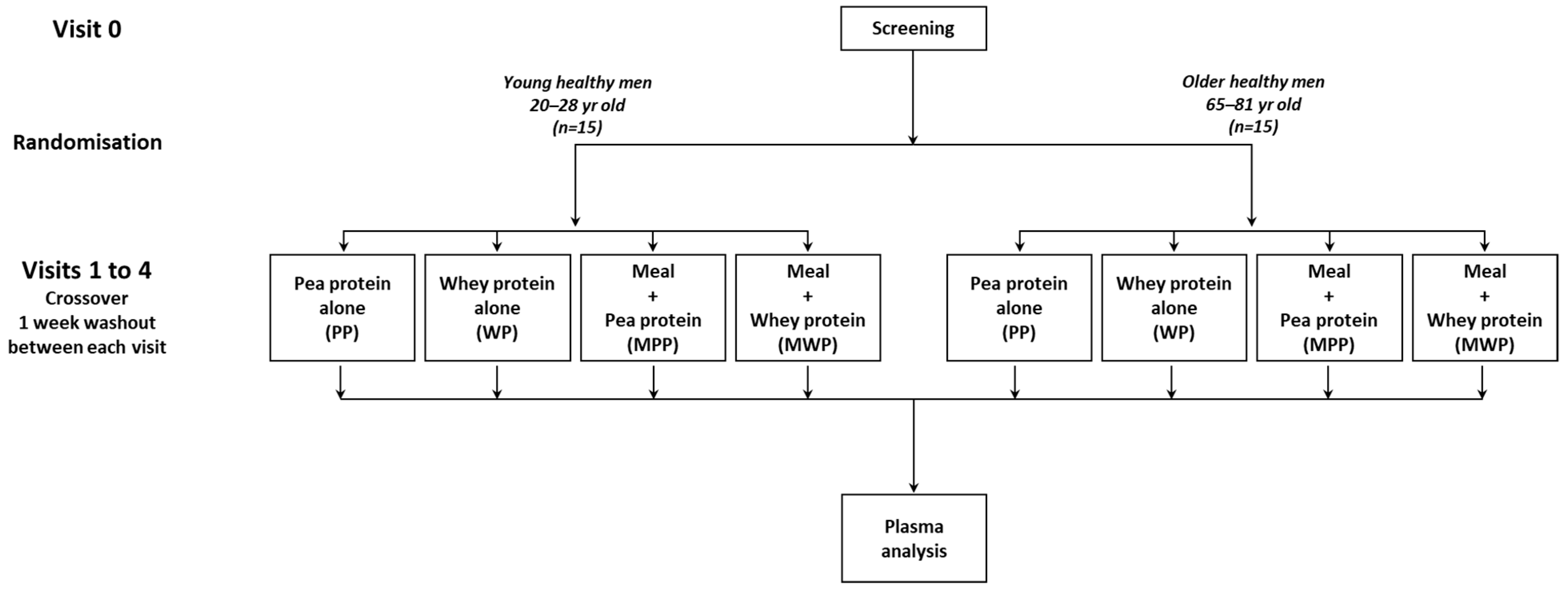 Nutrients 16 02870 g001