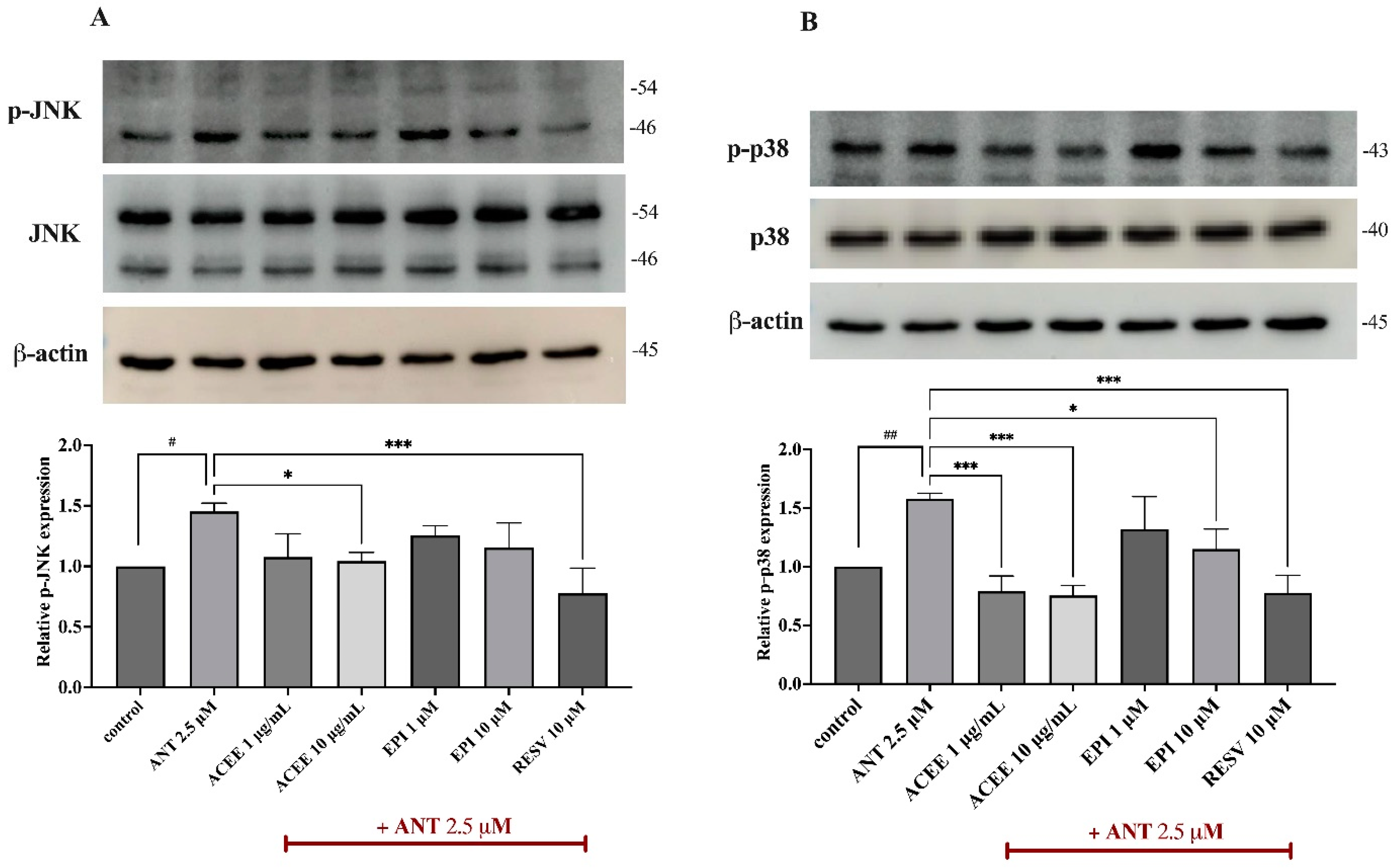 Nutrients 16 02882 g006