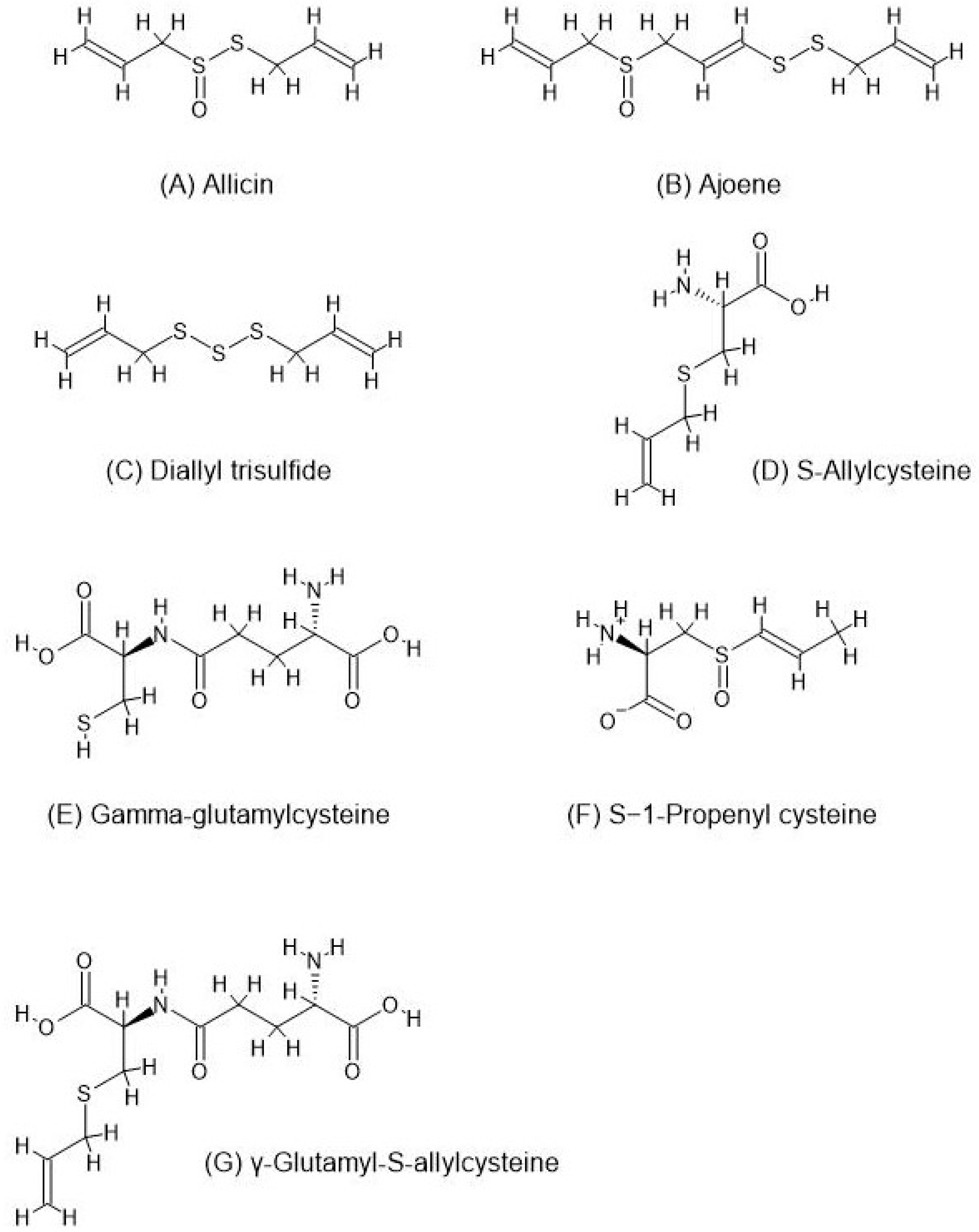Nutrients 16 02895 g001