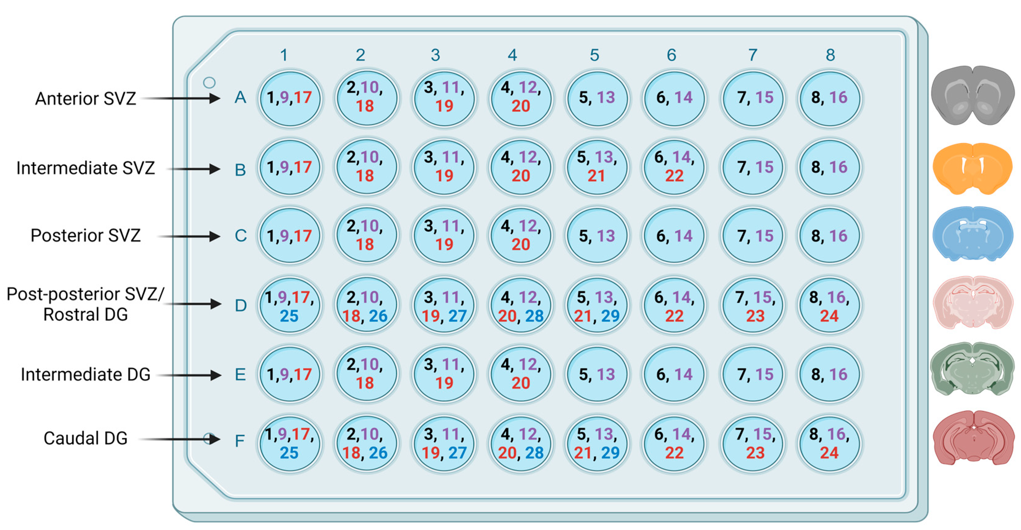 Nutrients 16 02938 g001