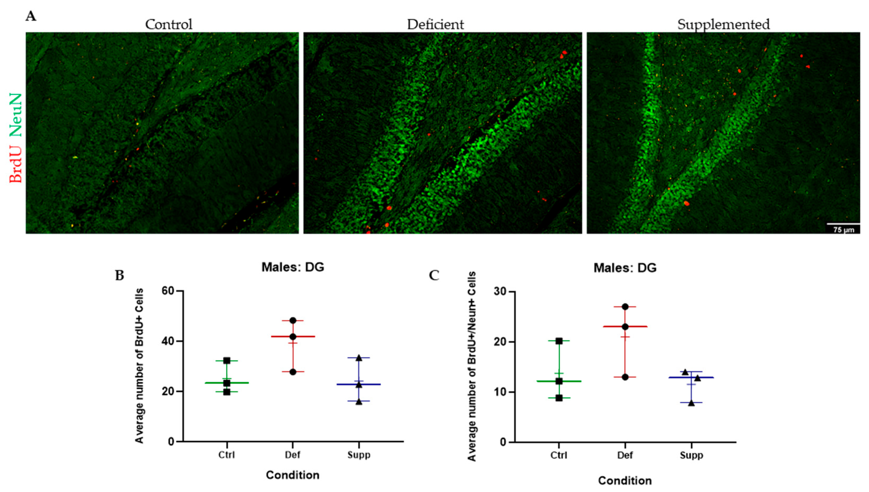 Nutrients 16 02938 g005
