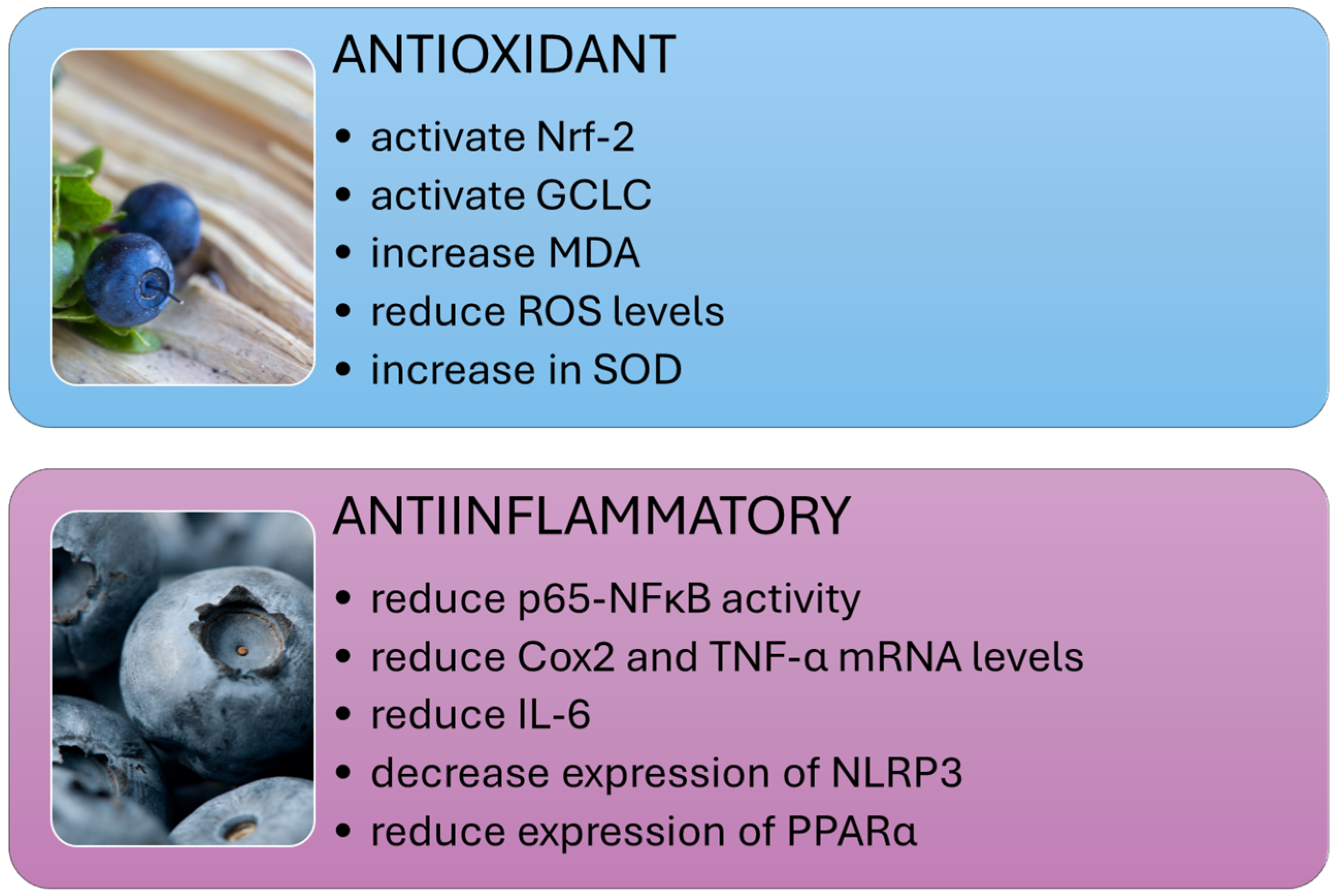 Nutrients 16 02940 g002
