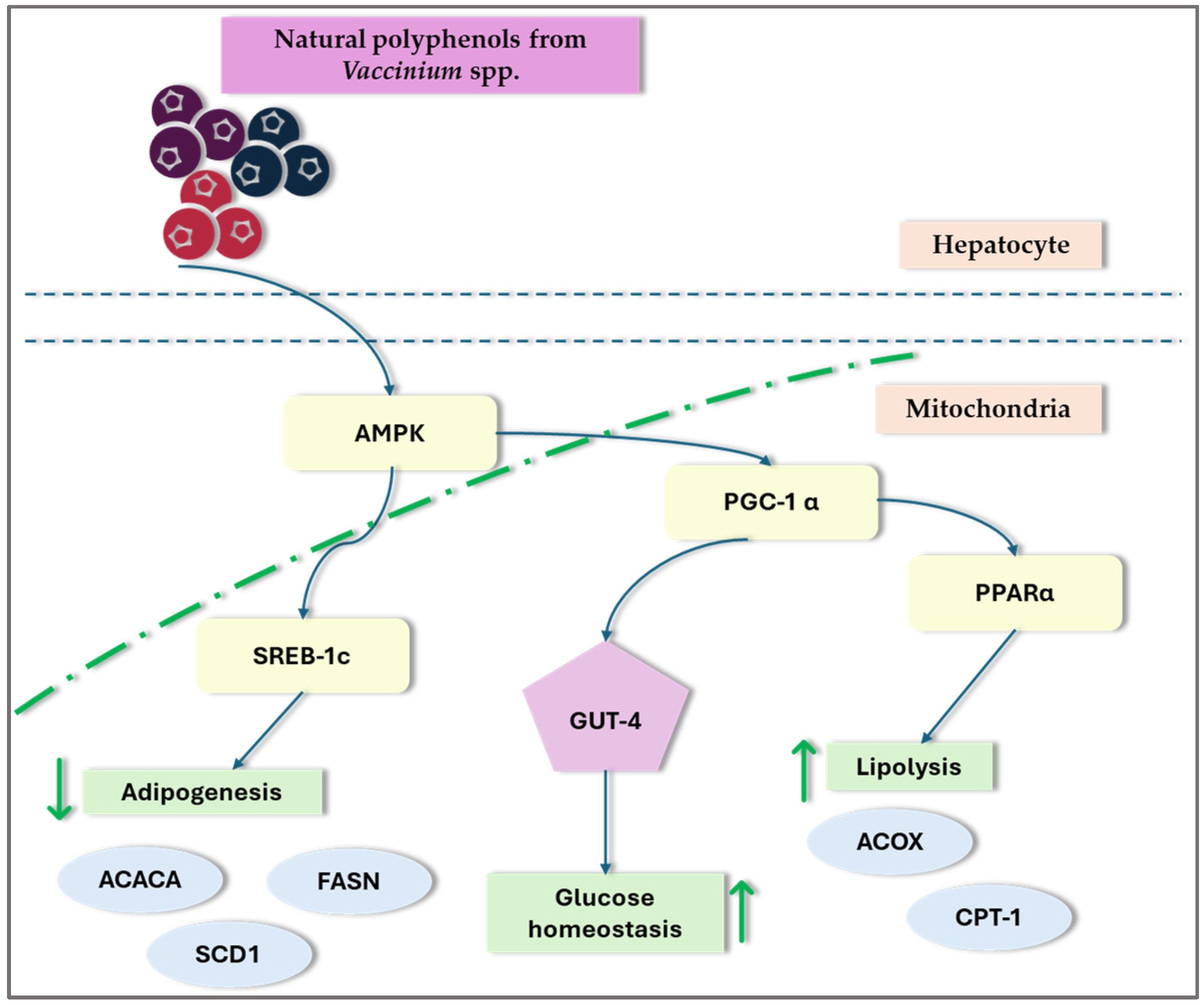 Nutrients 16 02940 g003