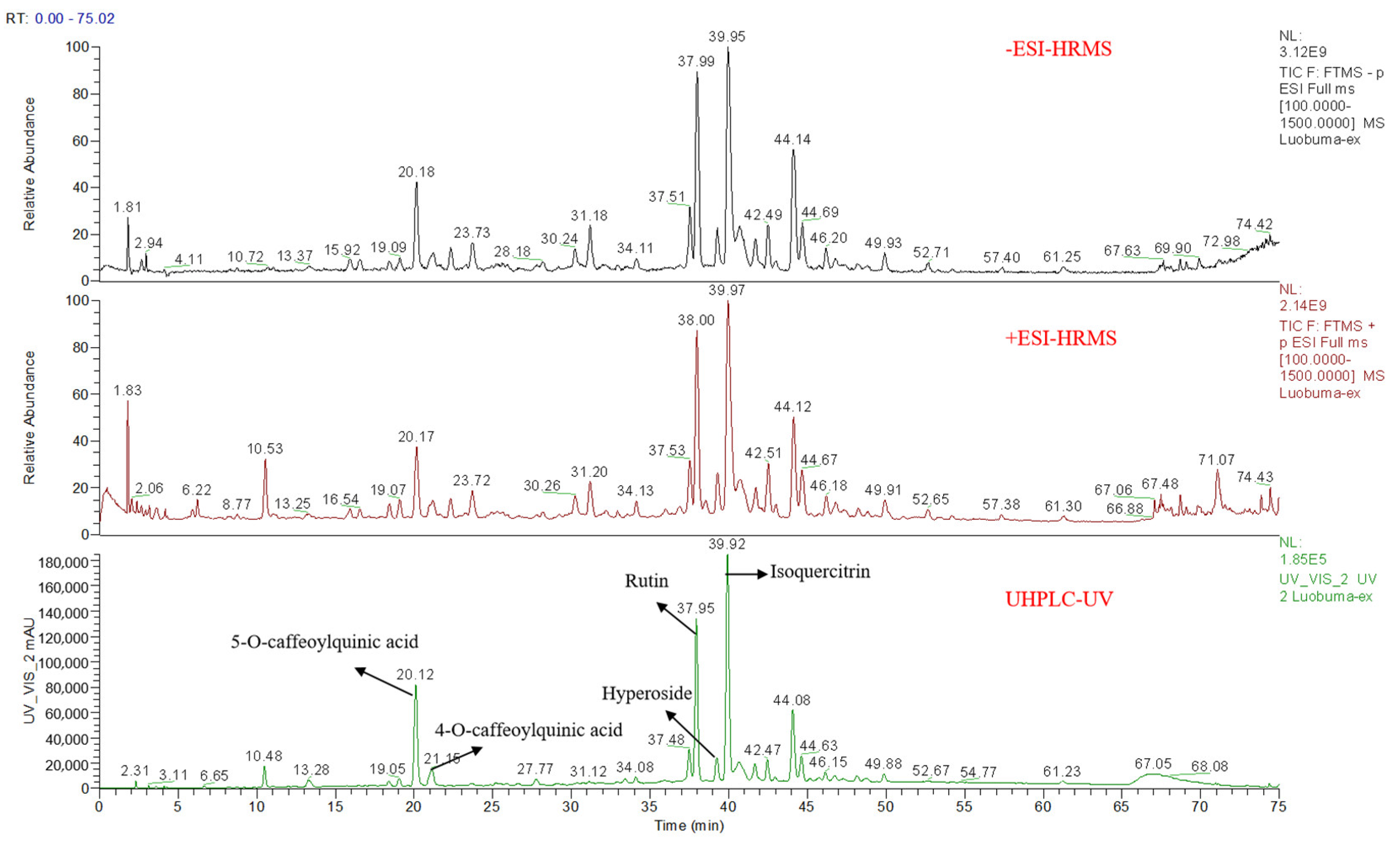 Nutrients 16 02944 g001
