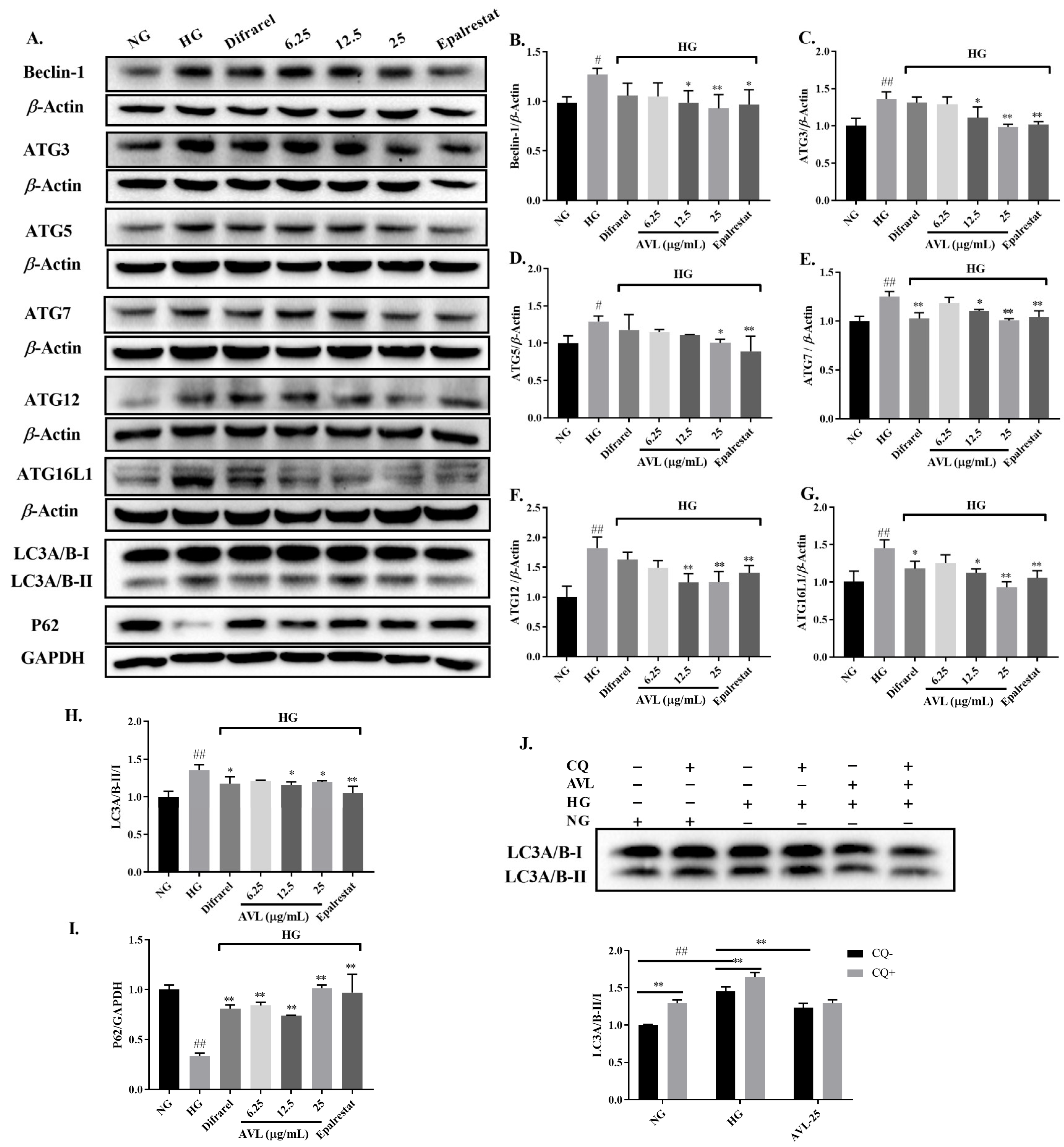 Nutrients 16 02944 g004
