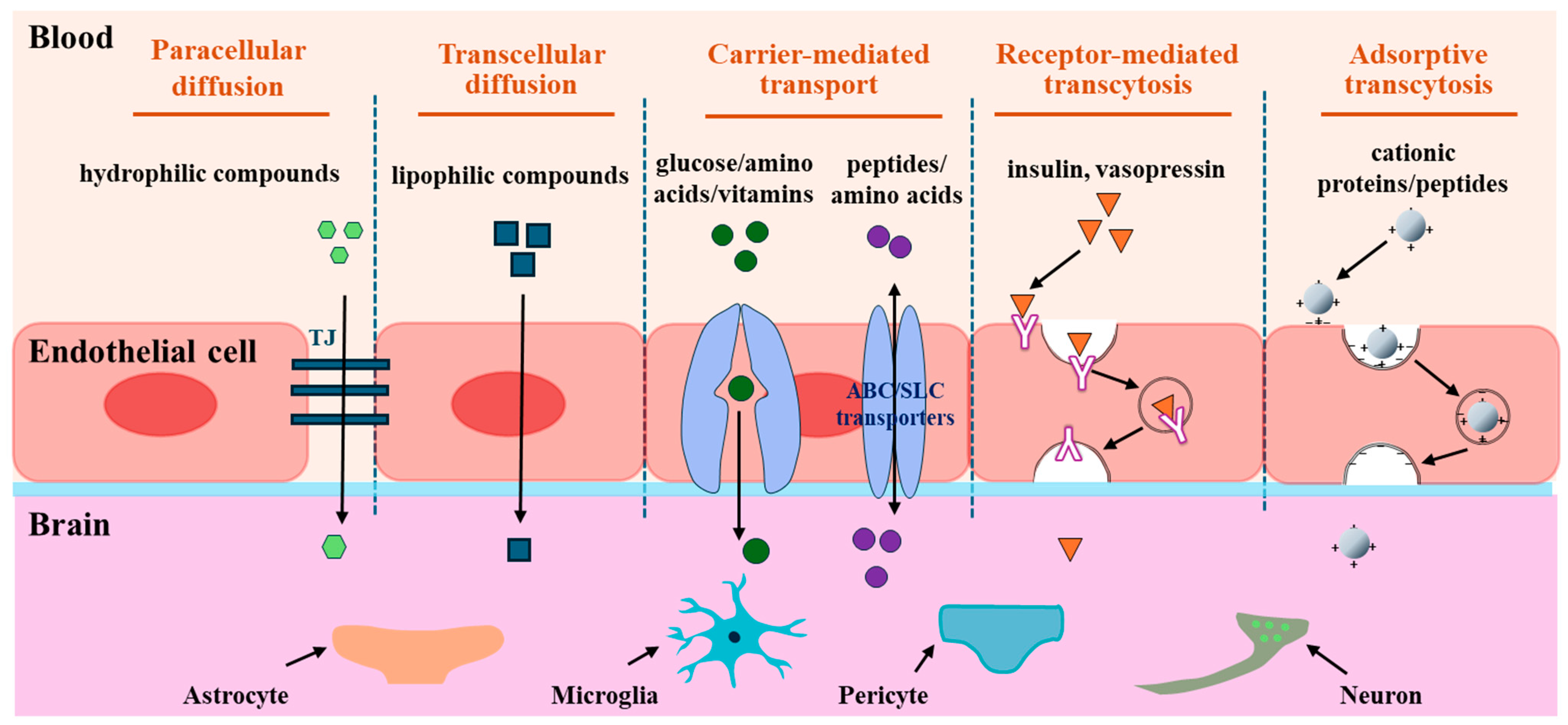 Nutrients 16 02947 g002