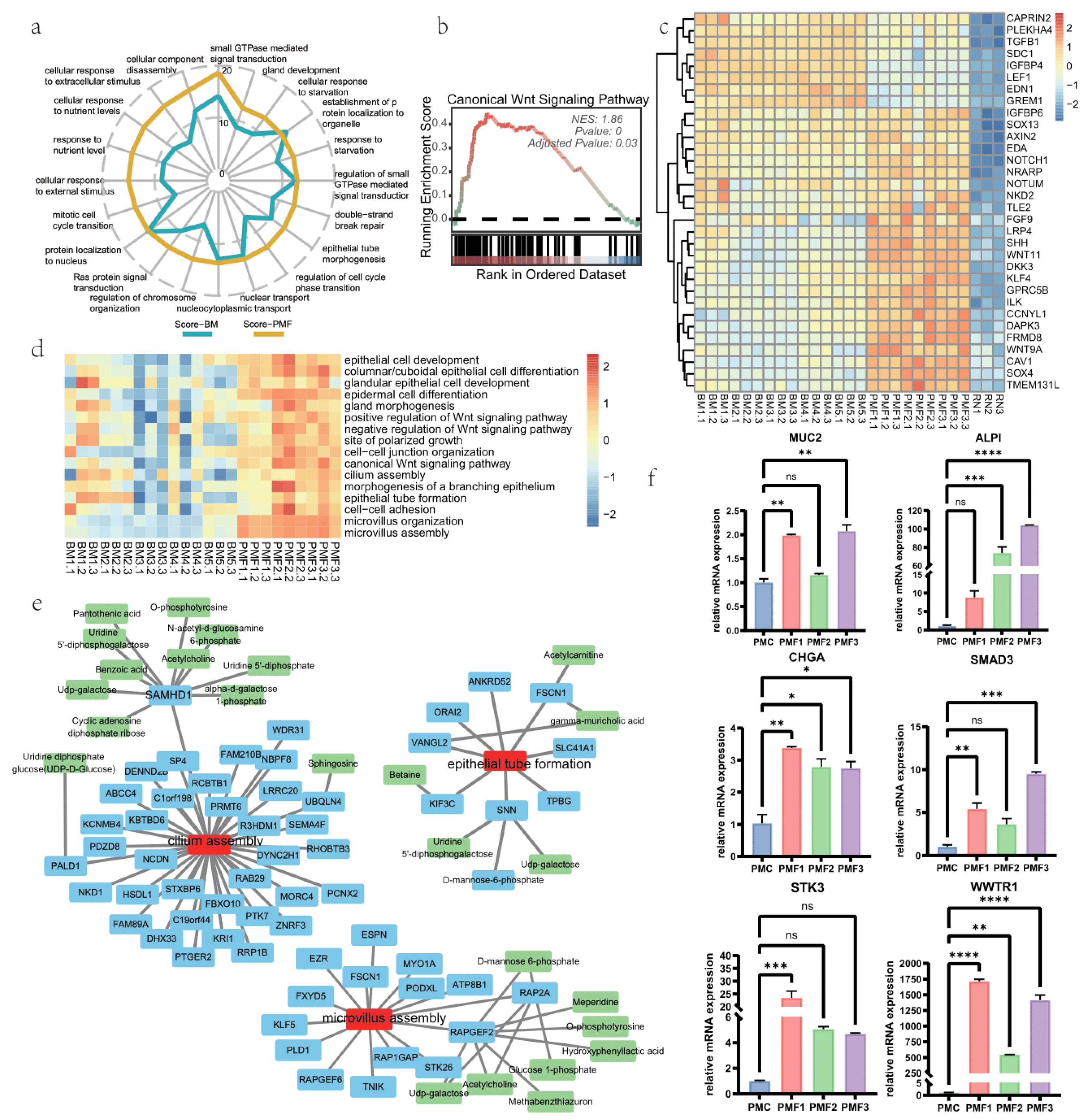 Nutrients 16 02951 g003