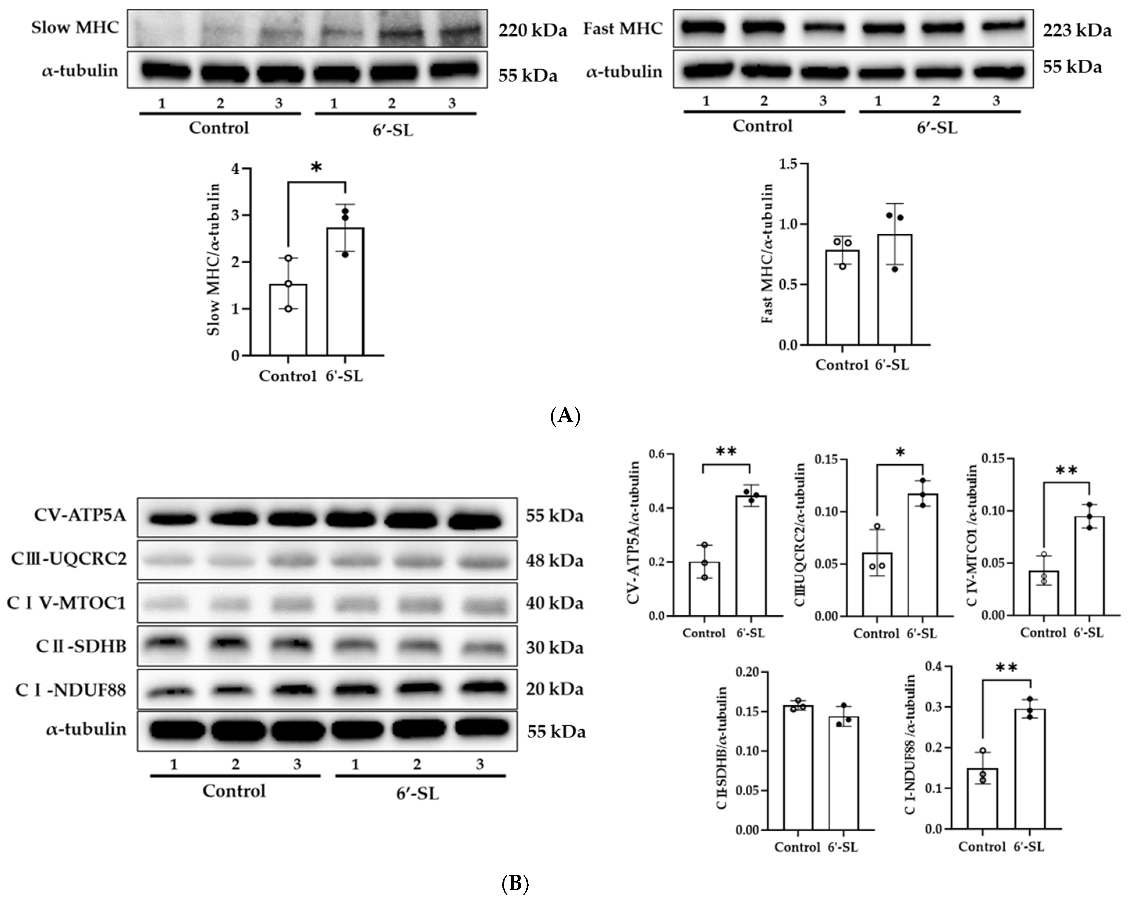 Nutrients 16 02957 g003