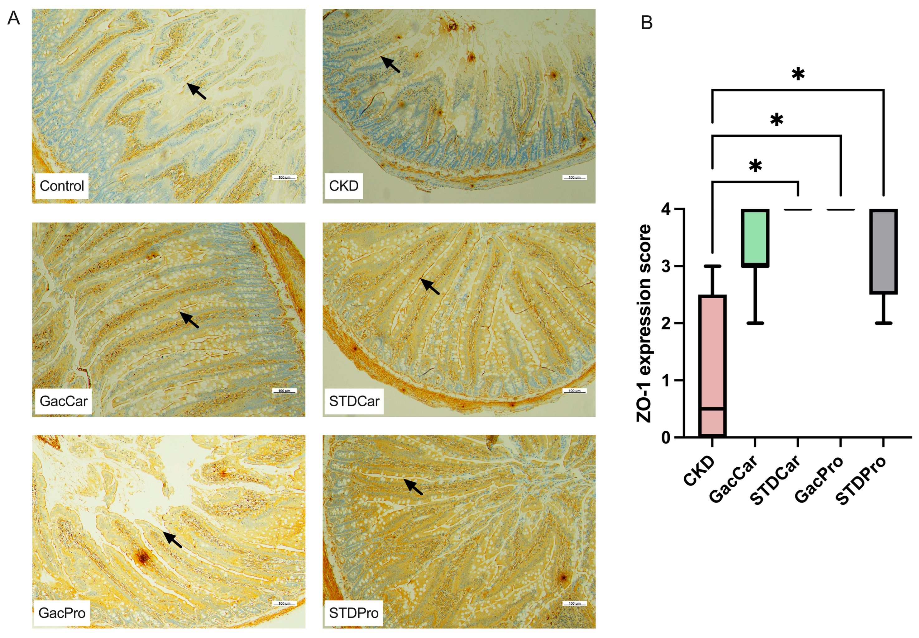 Nutrients 16 02997 g003