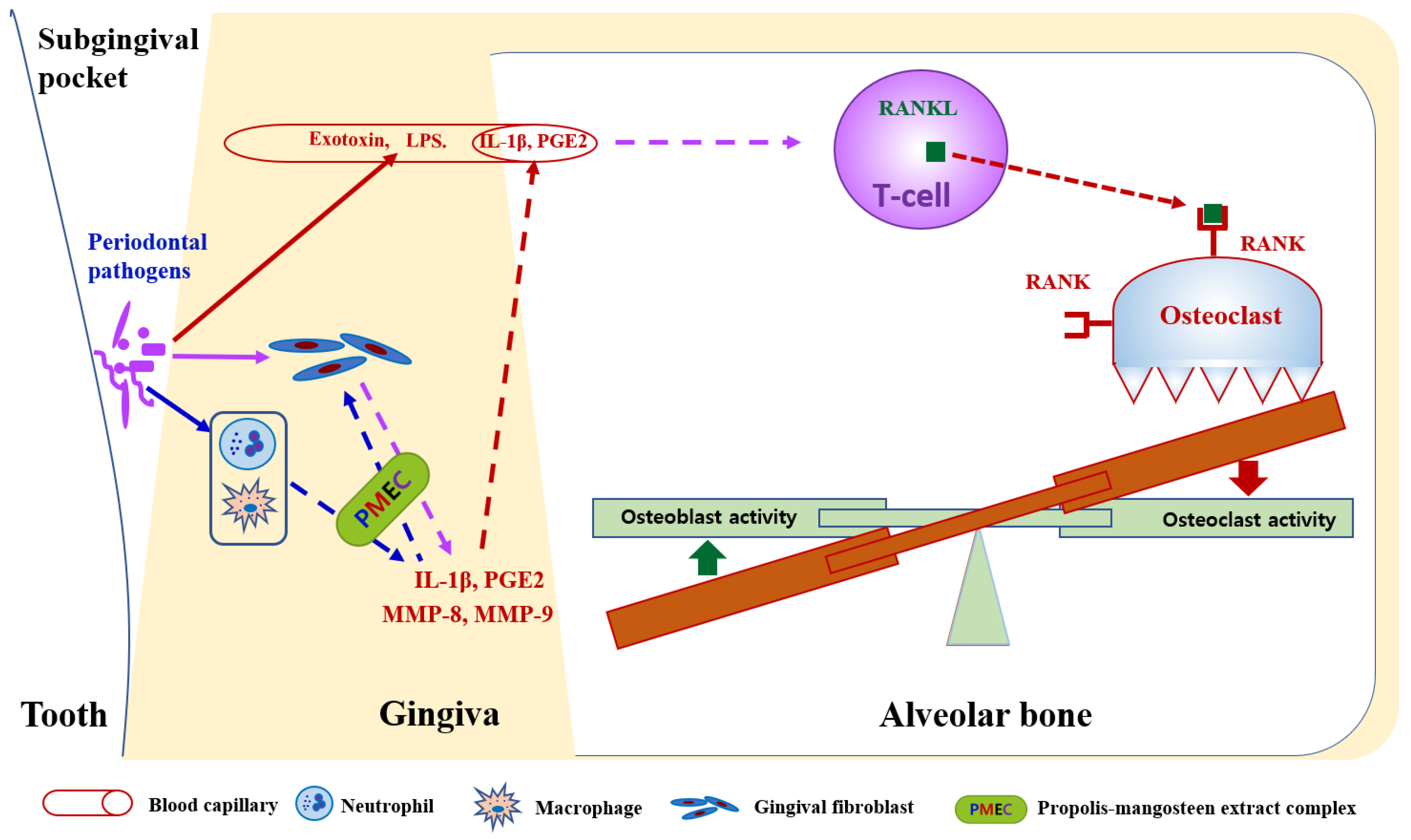 Nutrients 16 03000 g004