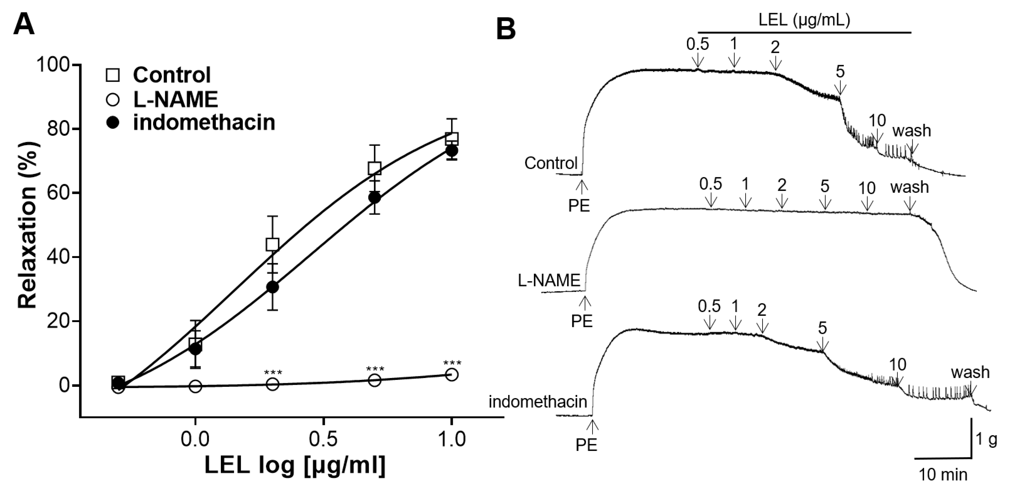 Nutrients 16 03003 g002