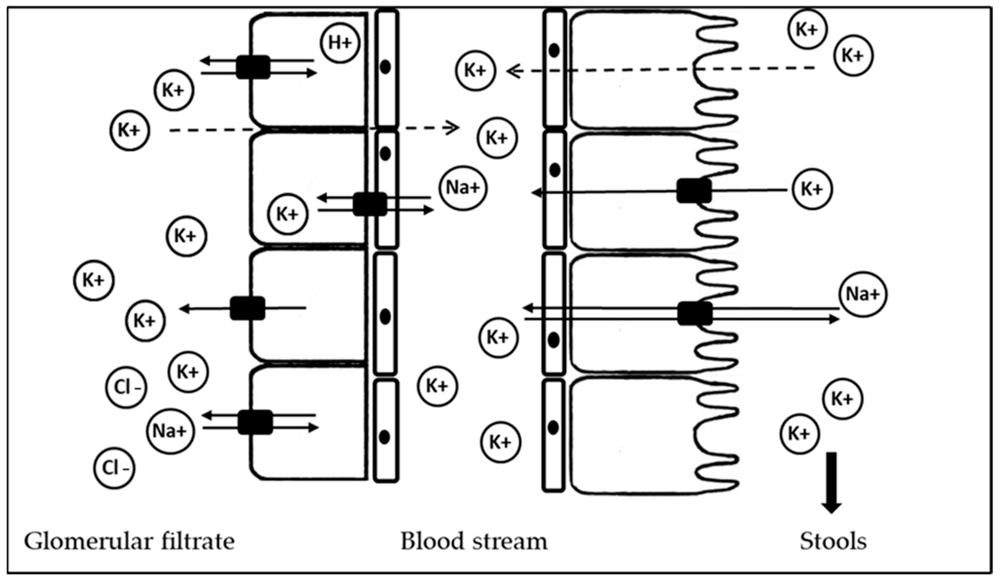 Nutrients 16 03016 g001