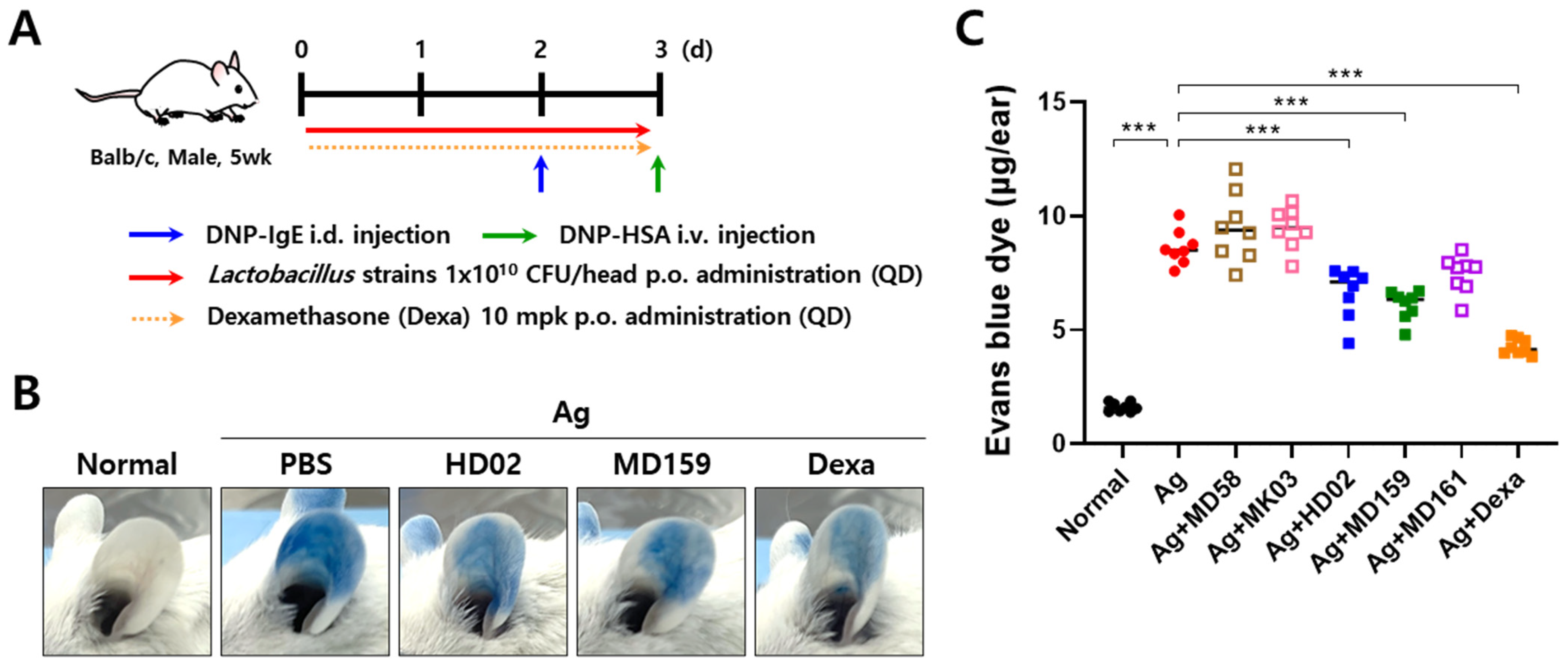 Nutrients 16 03021 g002