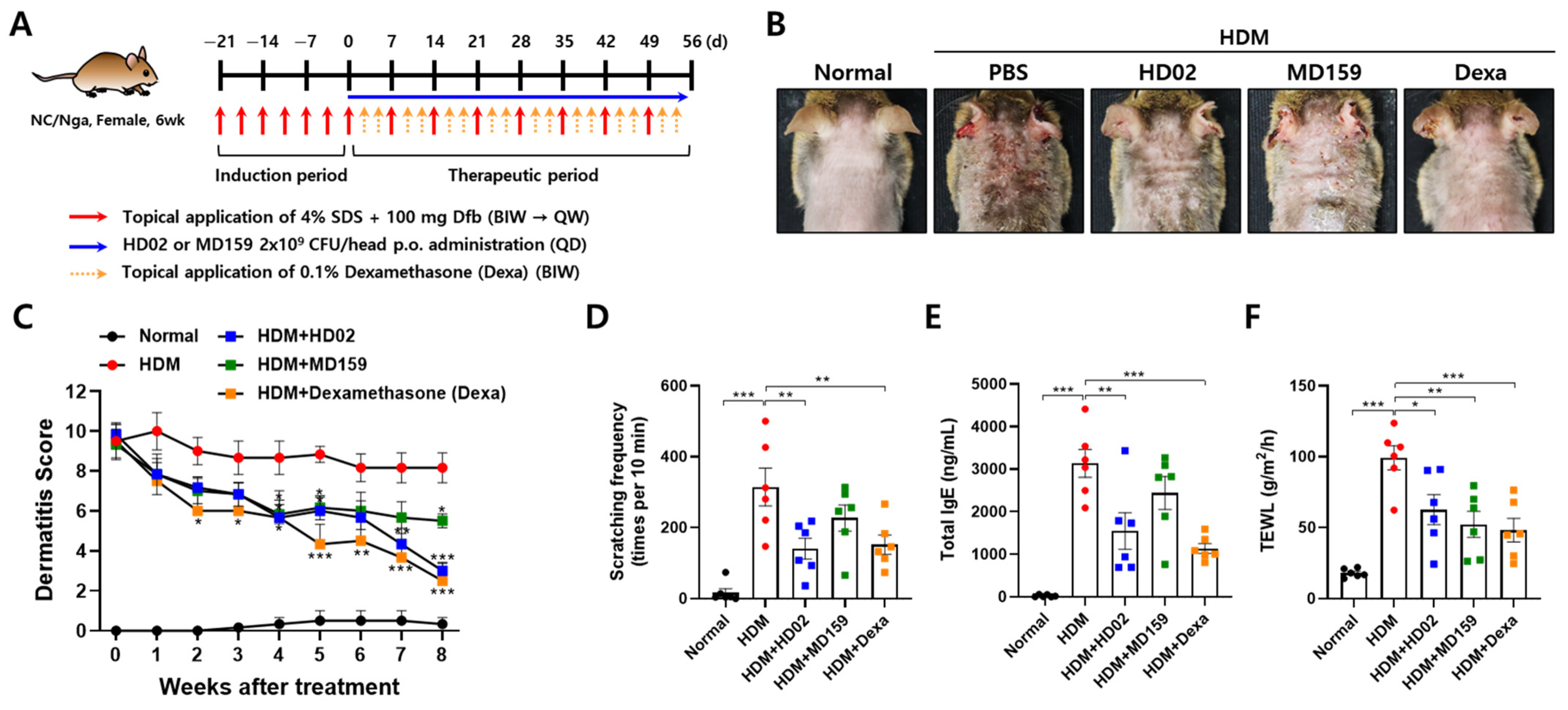 Nutrients 16 03021 g004