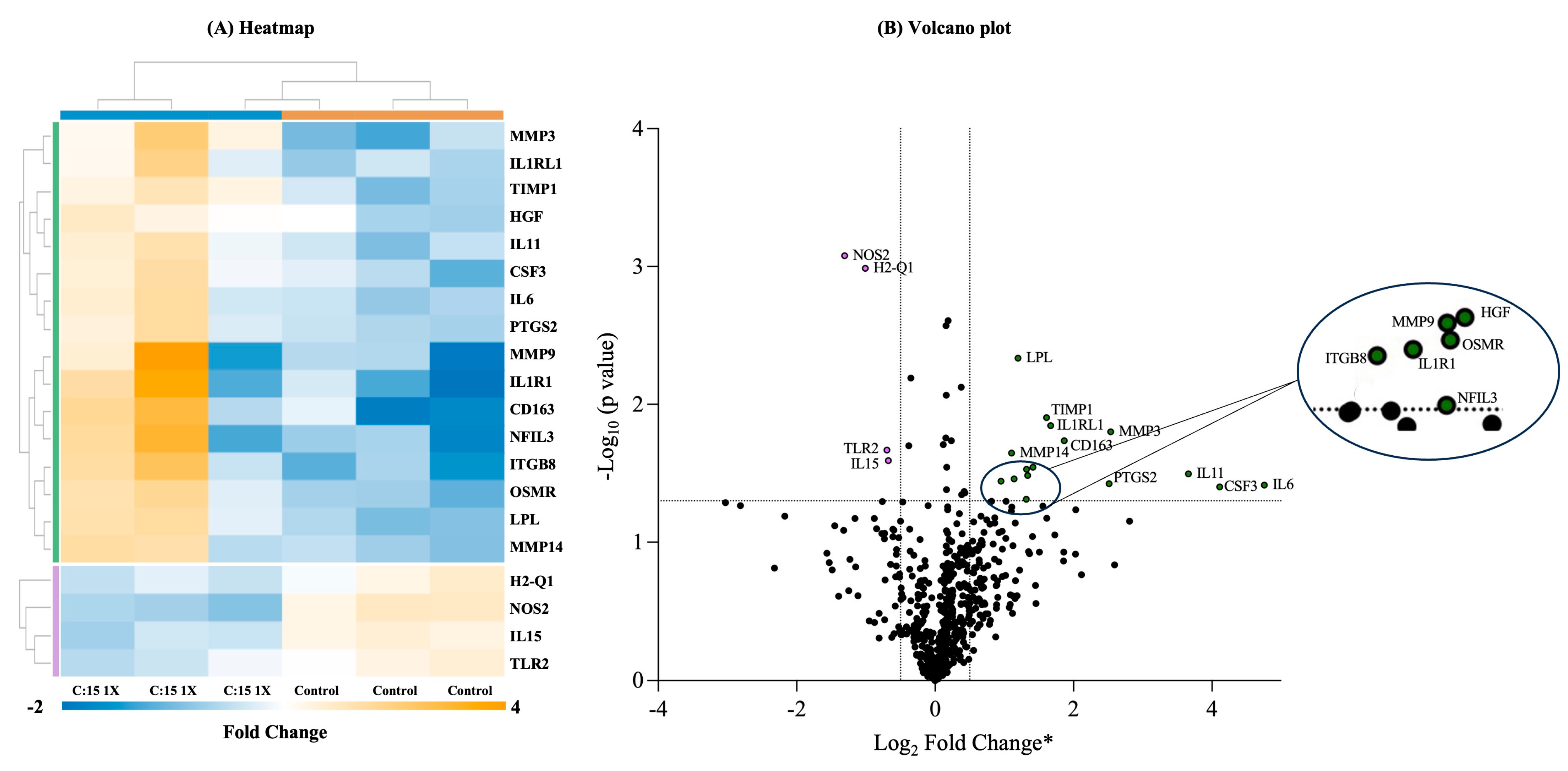Nutrients 16 03031 g005 Nutrients 16 03031 g005