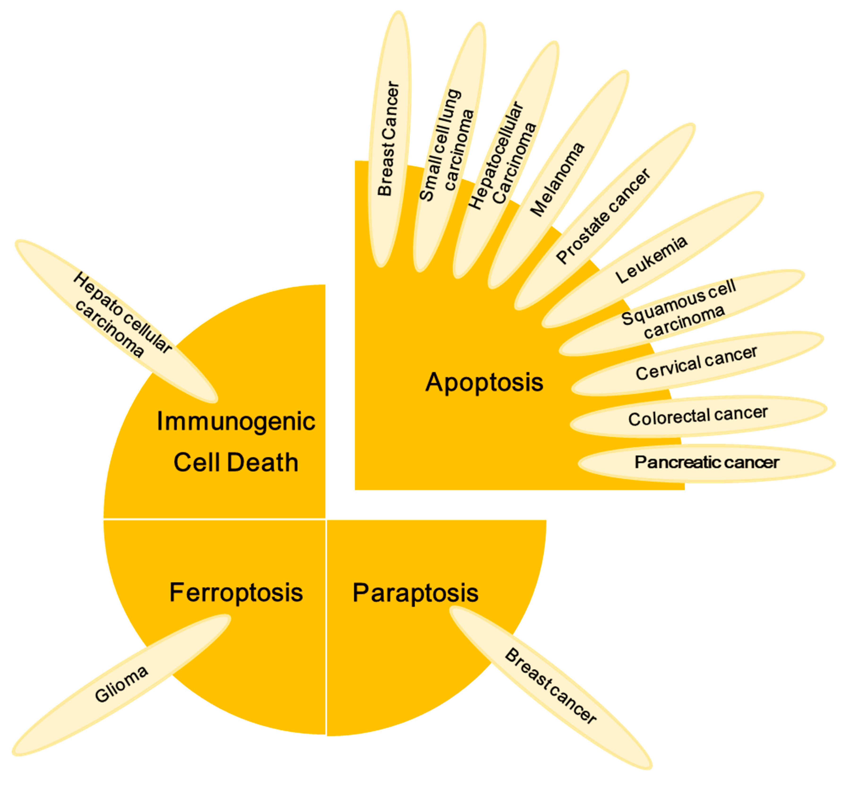 Nutrients 16 03033 g002
