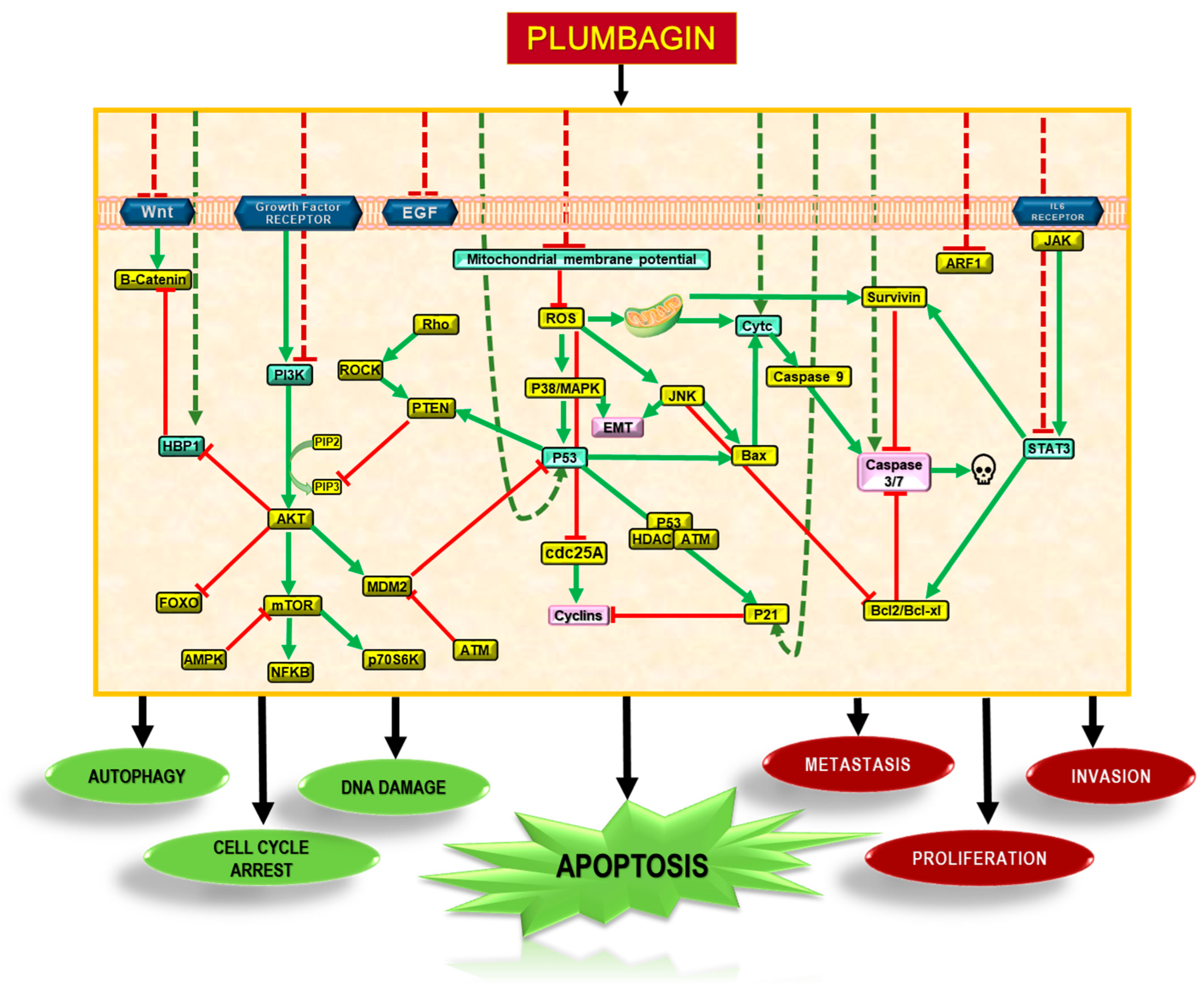 Nutrients 16 03033 g003