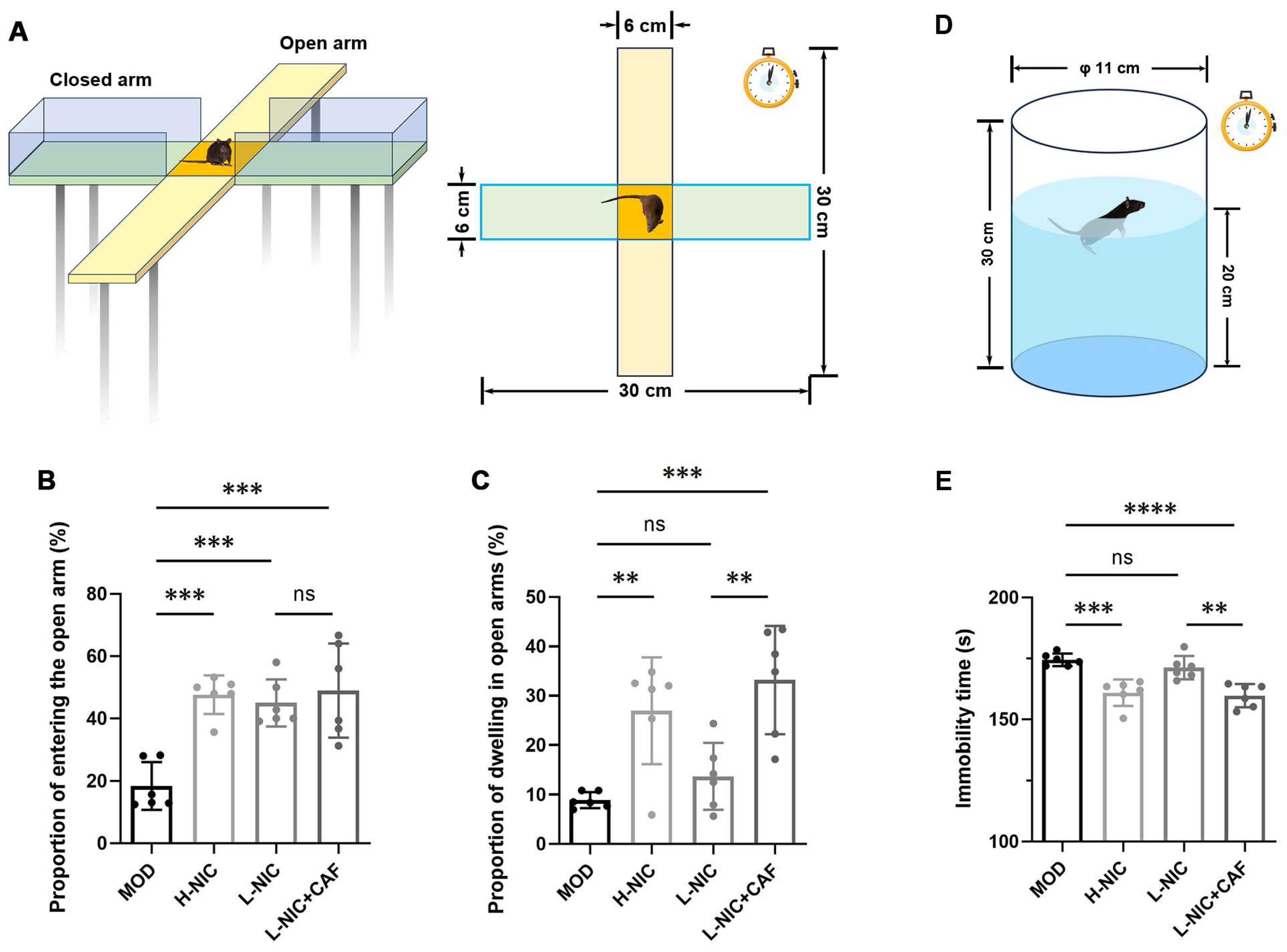 Nutrients 16 03048 g002