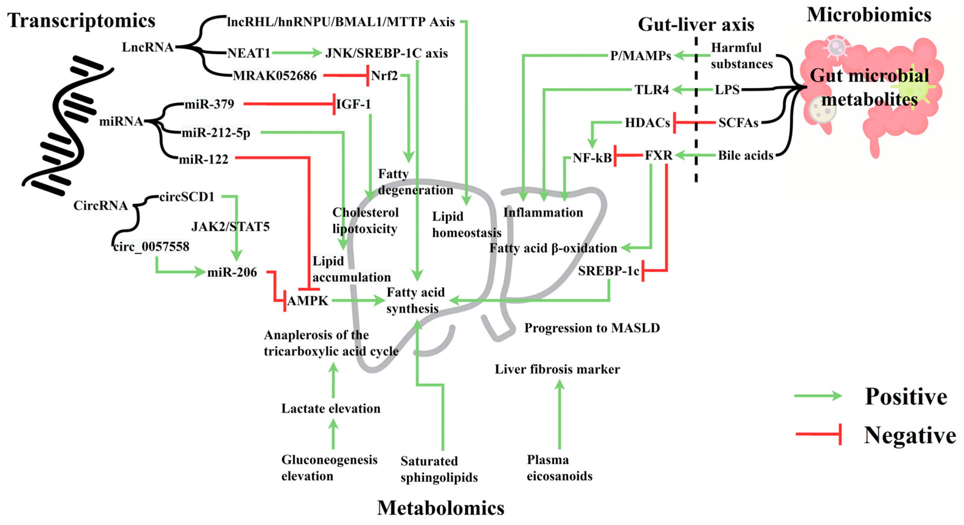 Nutrients 16 03061 g003
