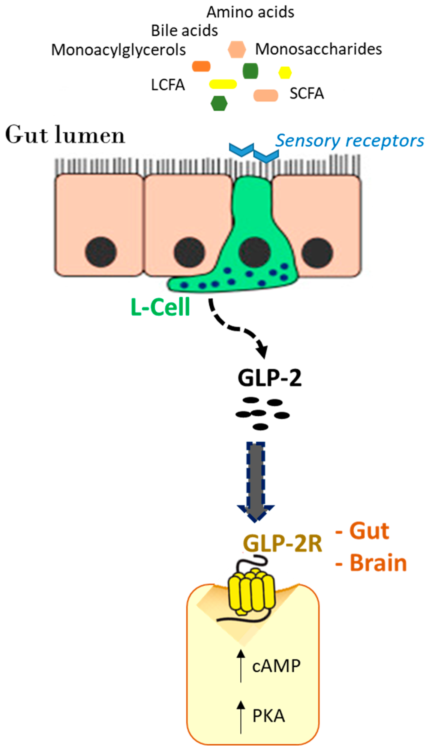 Nutrients 16 03069 g003