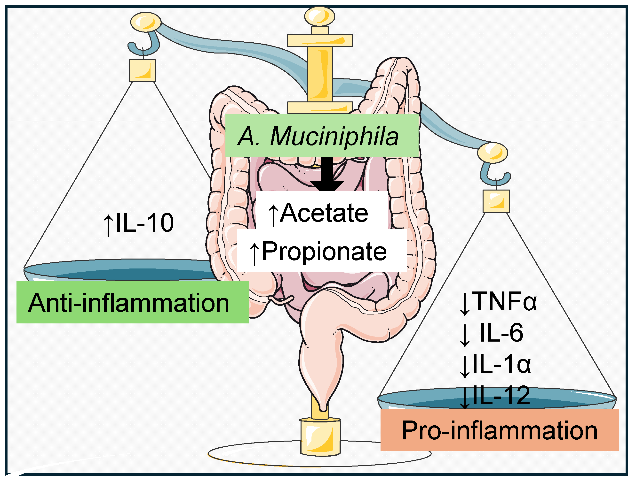 Nutrients 16 03075 g002