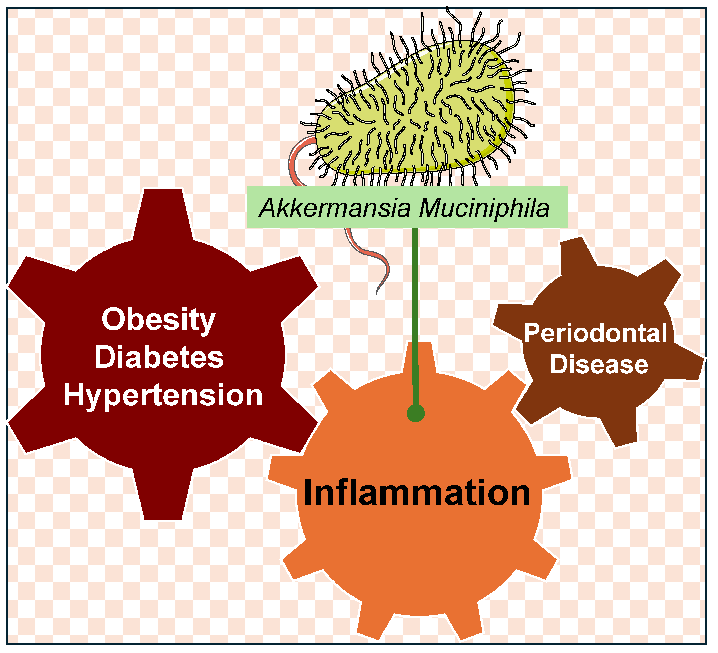 Nutrients 16 03075 g004