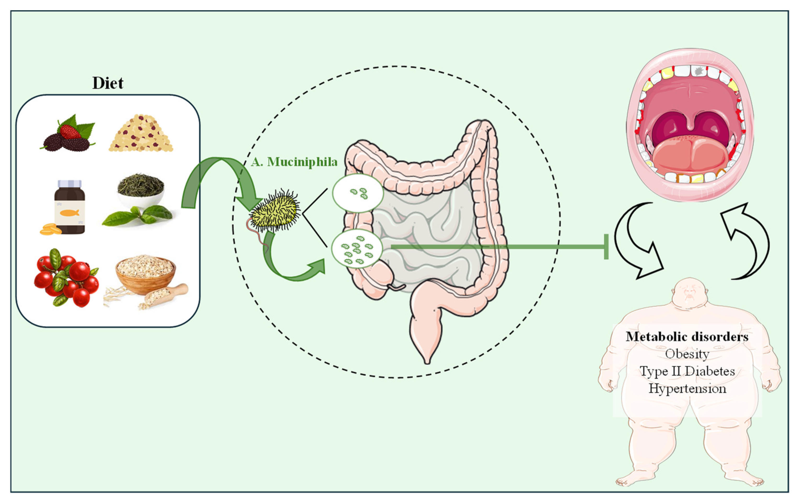 Nutrients 16 03075 g005
