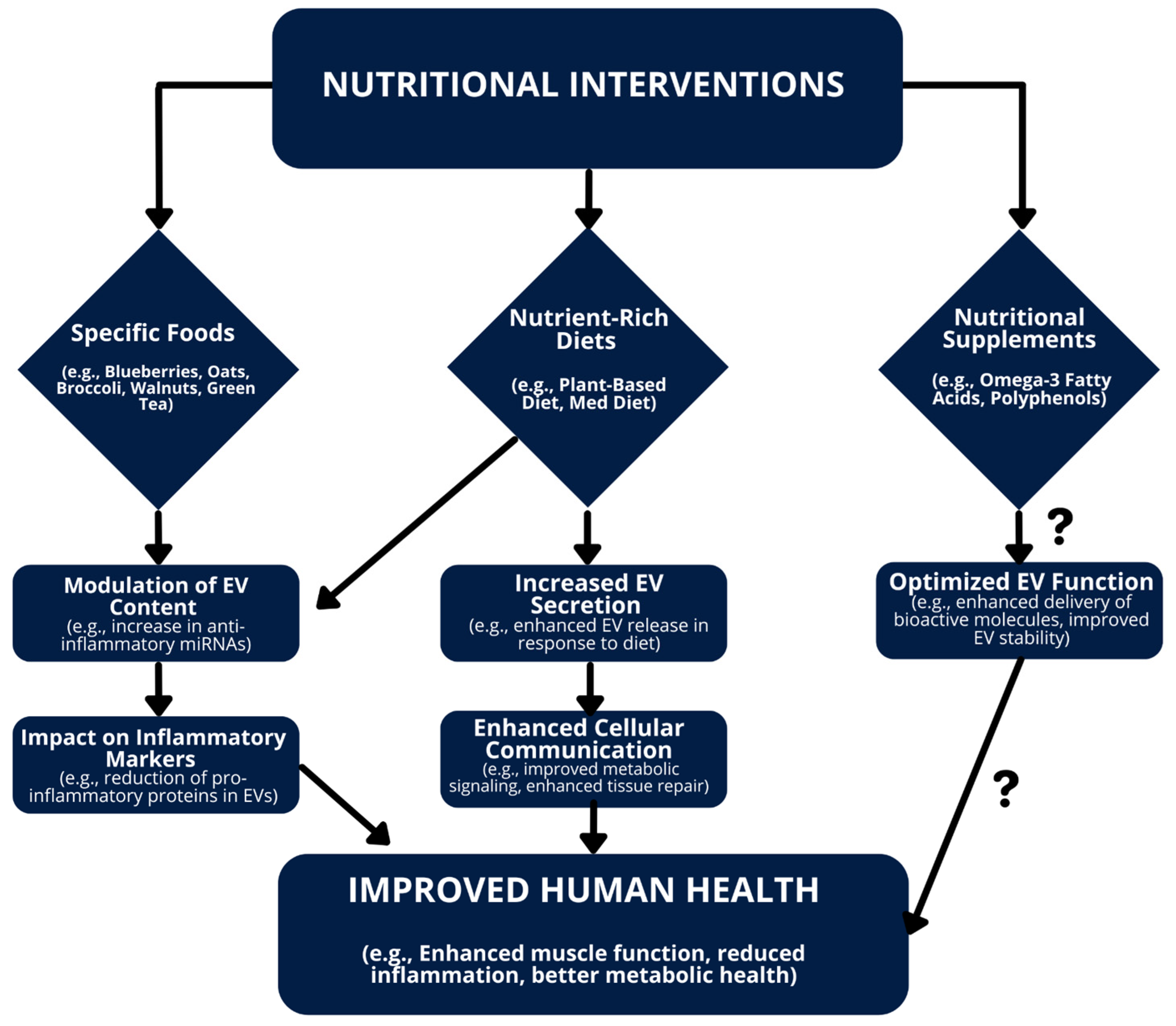 Nutrients 16 03097 g004