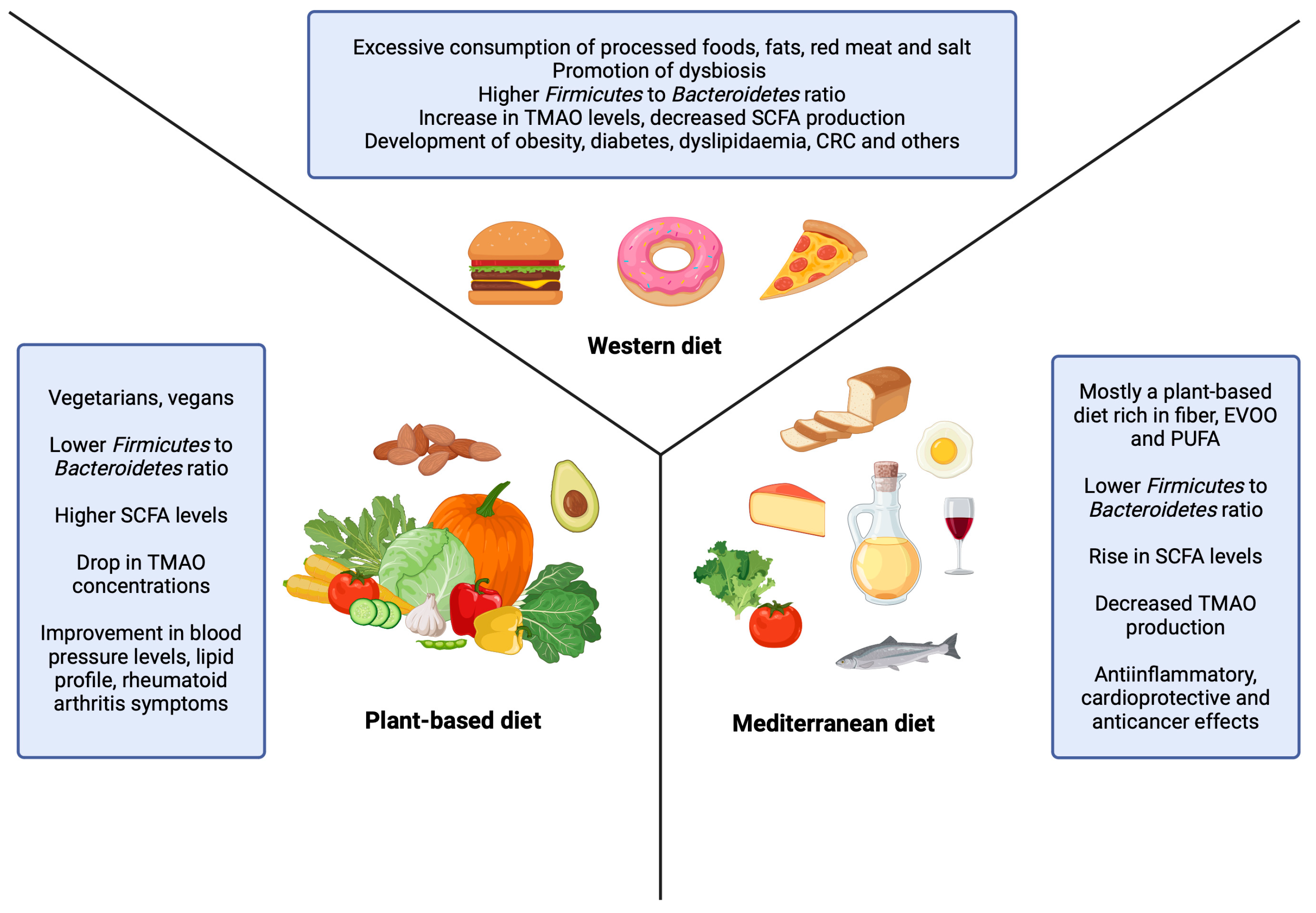 Nutrients 16 03134 g001