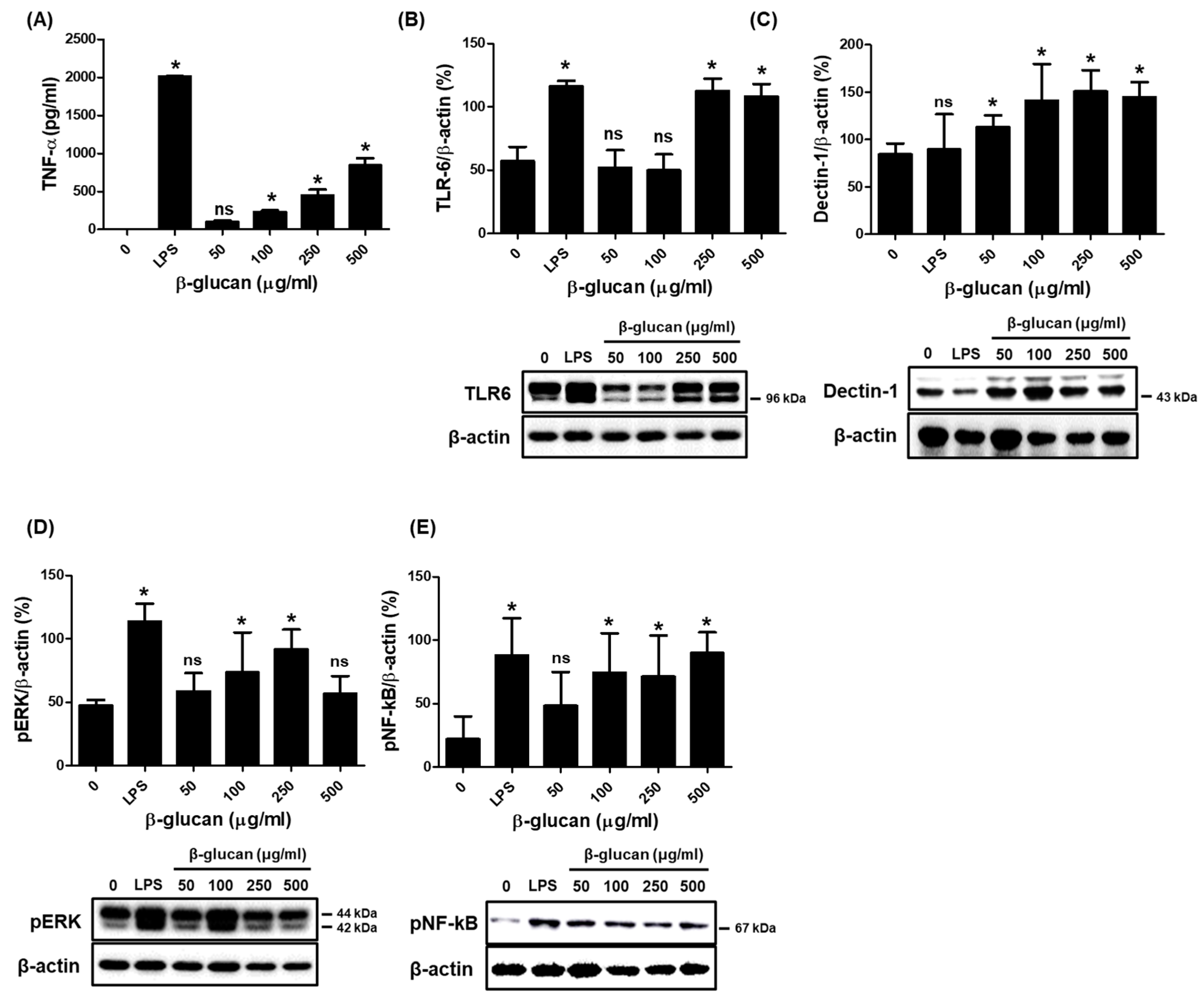 Nutrients 16 03158 g002