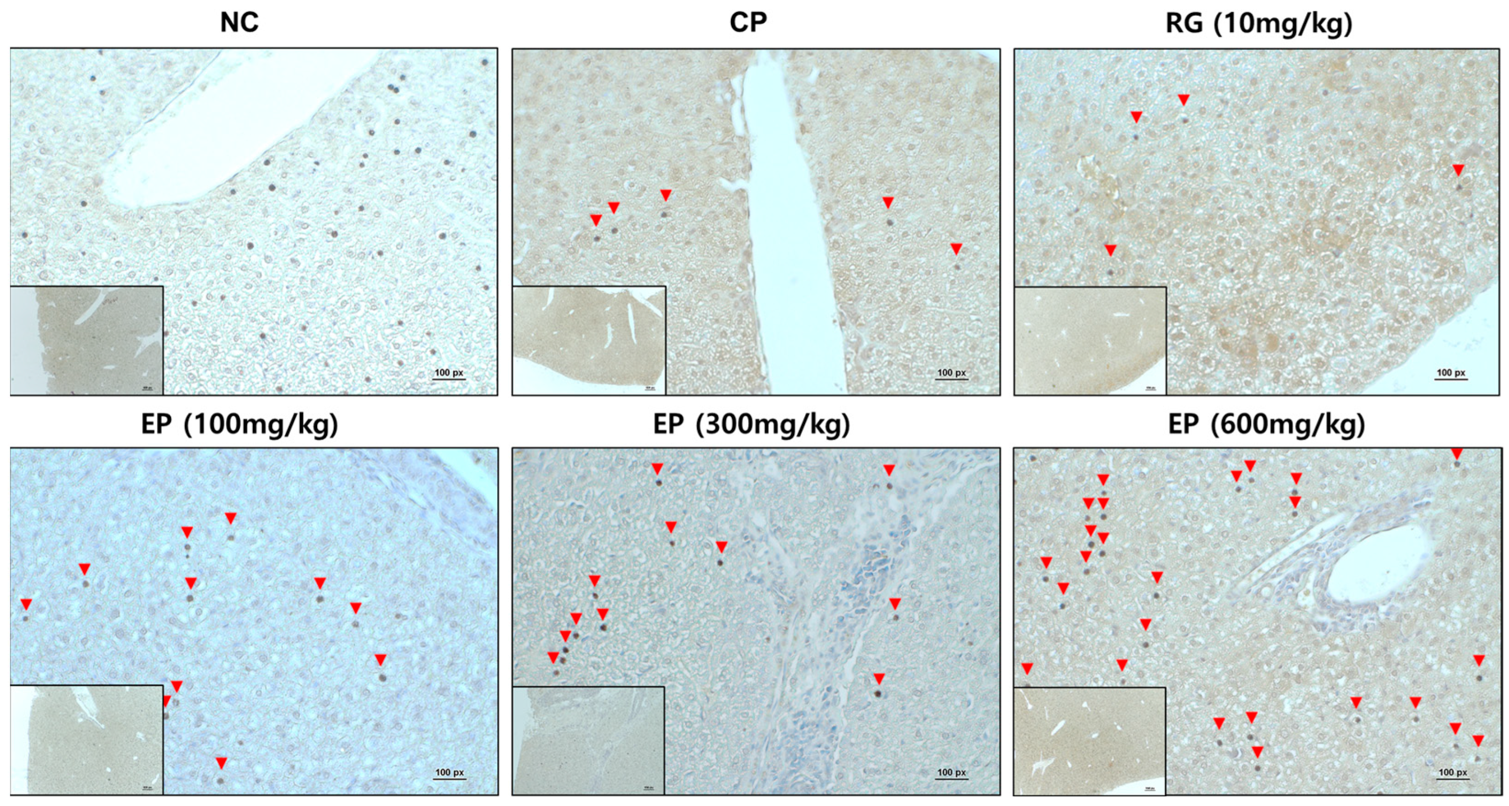 Nutrients 16 03158 g007